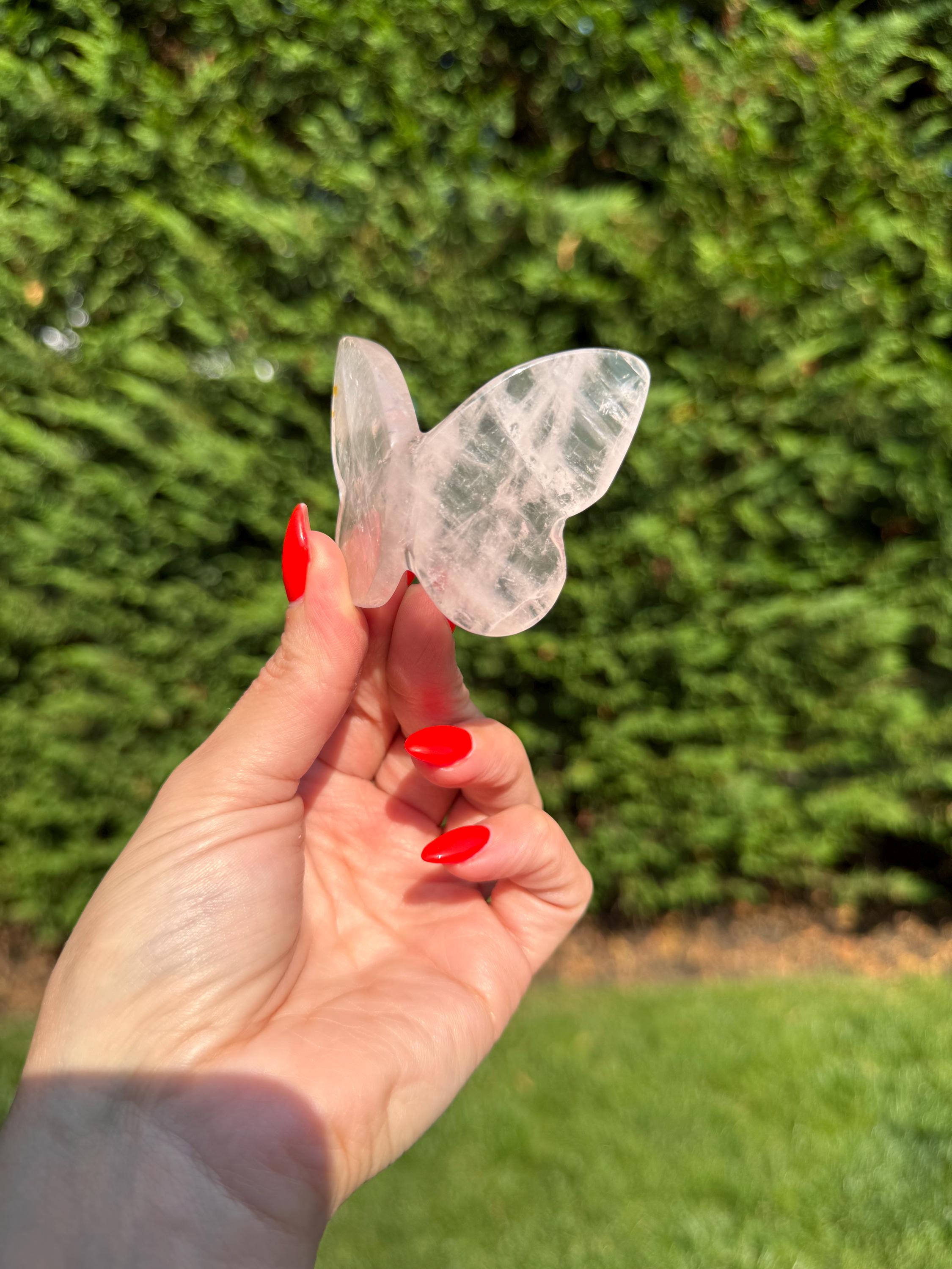 Rose Quartz Butterfly Carving • Golden Healer Crystal • Hand Carved Gemstone Decor 7