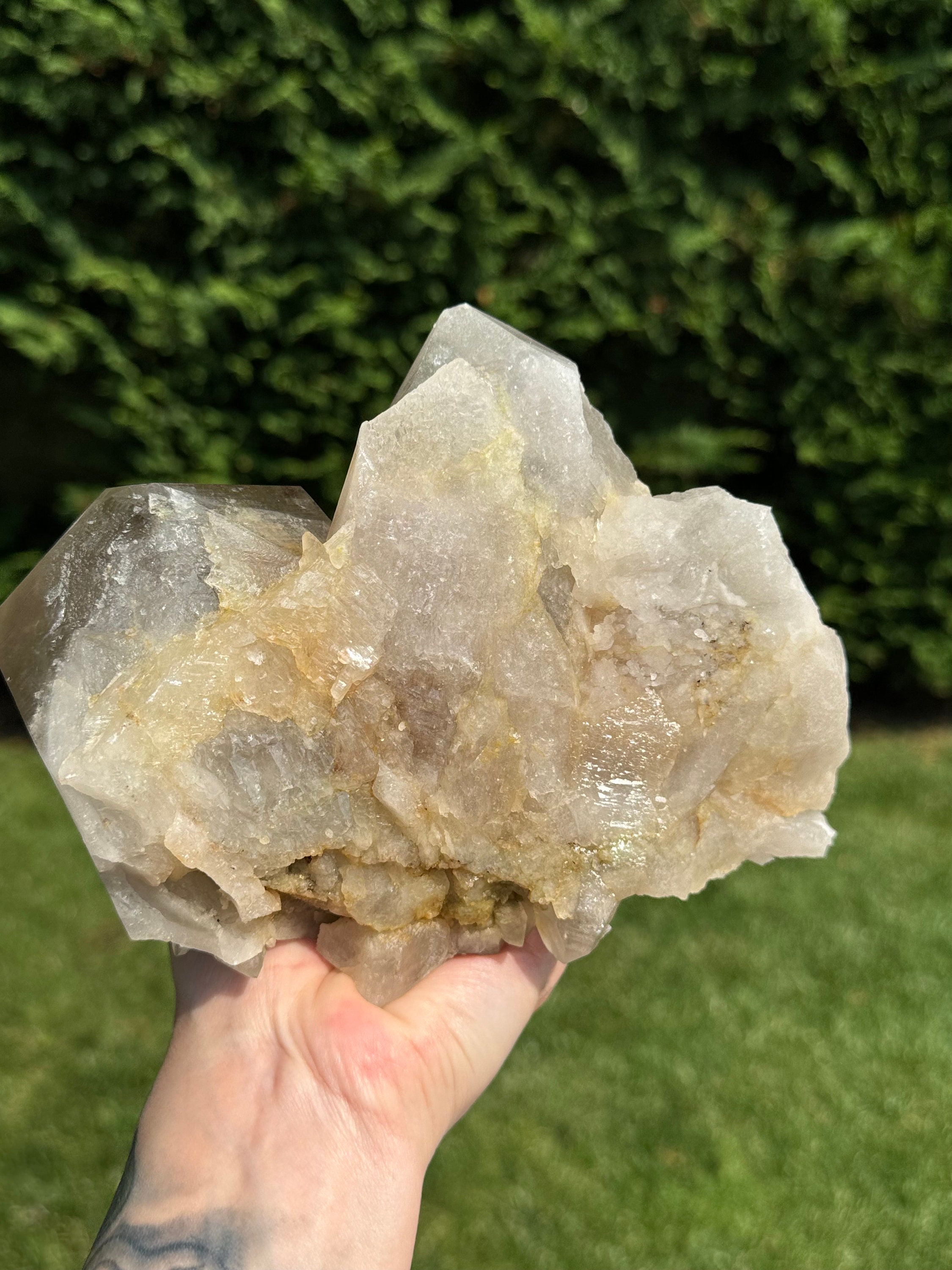 XL Himalayan Quartz Crystal Cluster • High Vibration Meditation Stone • Natural Mineral Specimen (Indian) 7