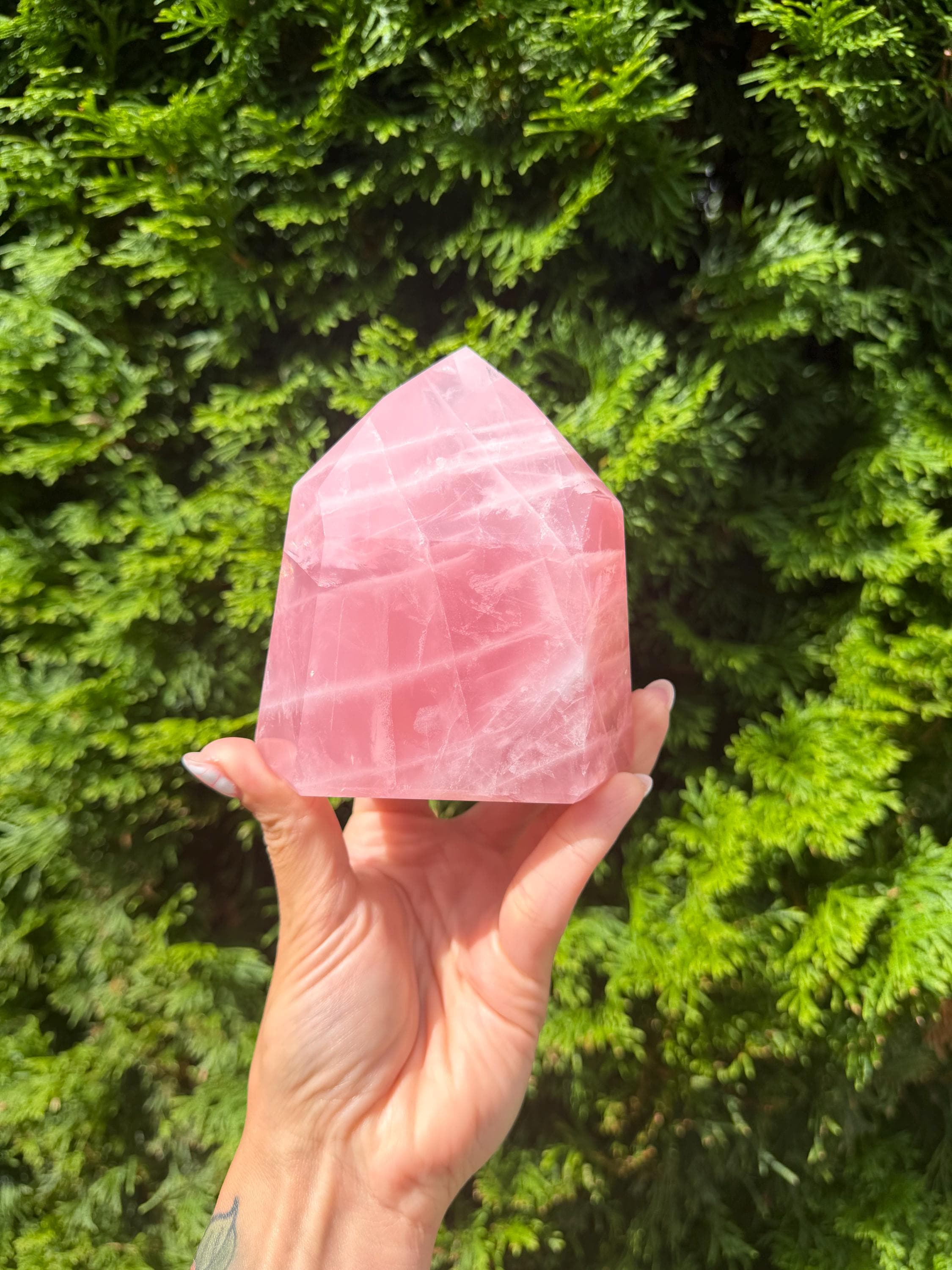 Brazilian Rose Quartz Chunky Point: Polished Pink Crystal Specimen (4"x3.5") 2