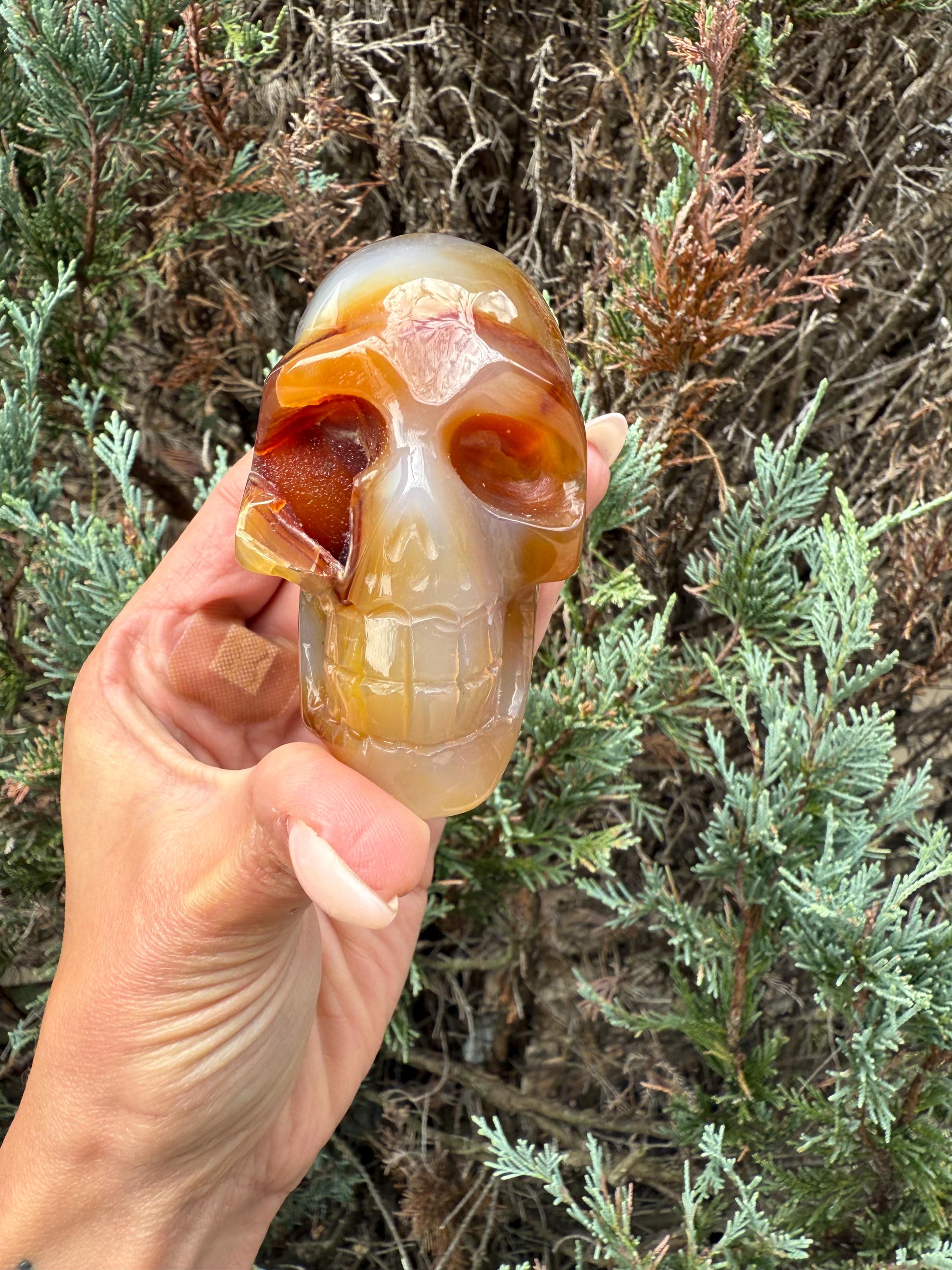 Druzy Carnelian Agate Crystal Skull, Hand Carved Stone, Natural Healing Decor 5