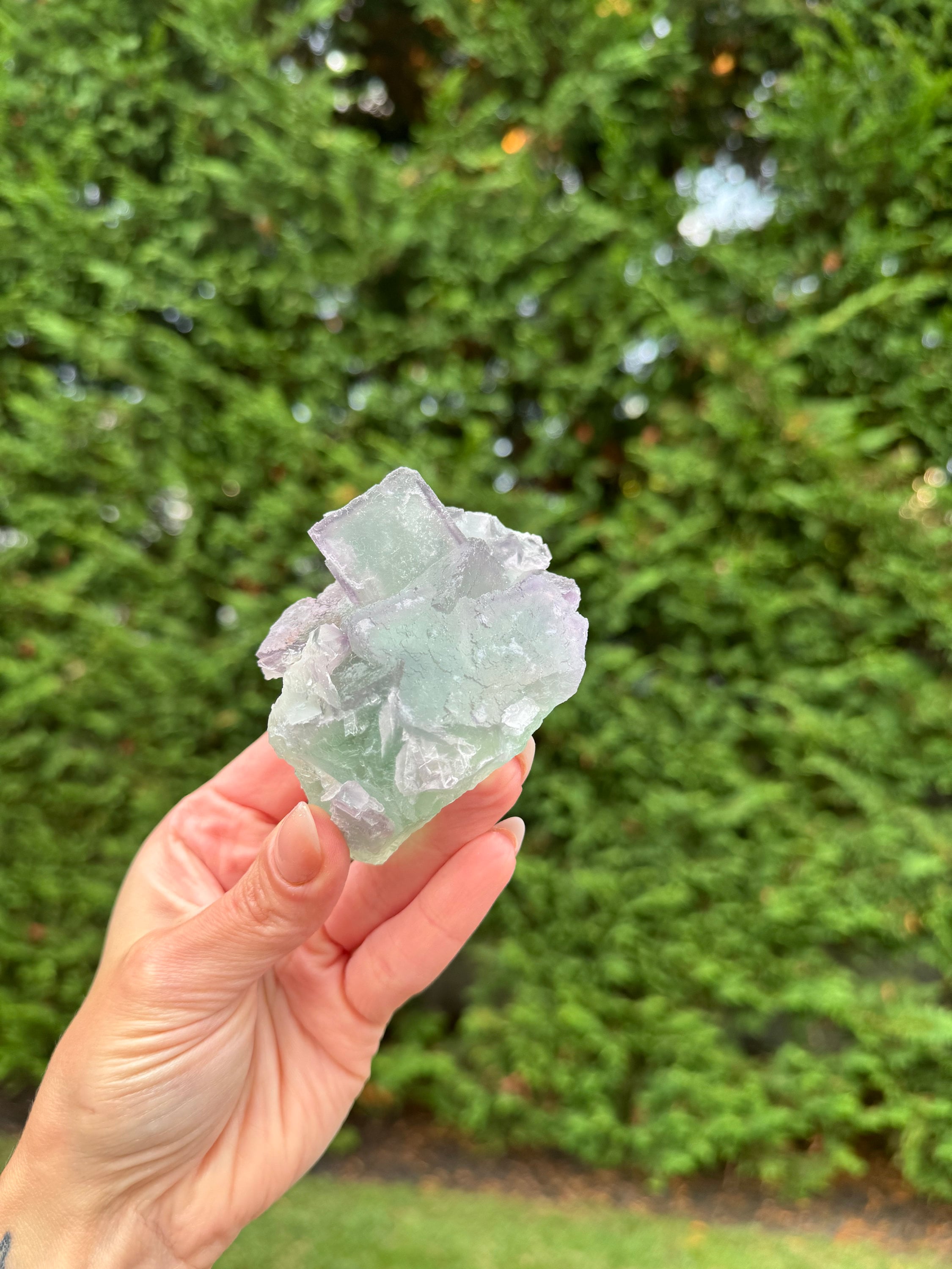 Green & Purple Fluorite Cubic Crystal Specimen • China • Natural Healing Stone • Mineral Cube • Crystal Decor 5