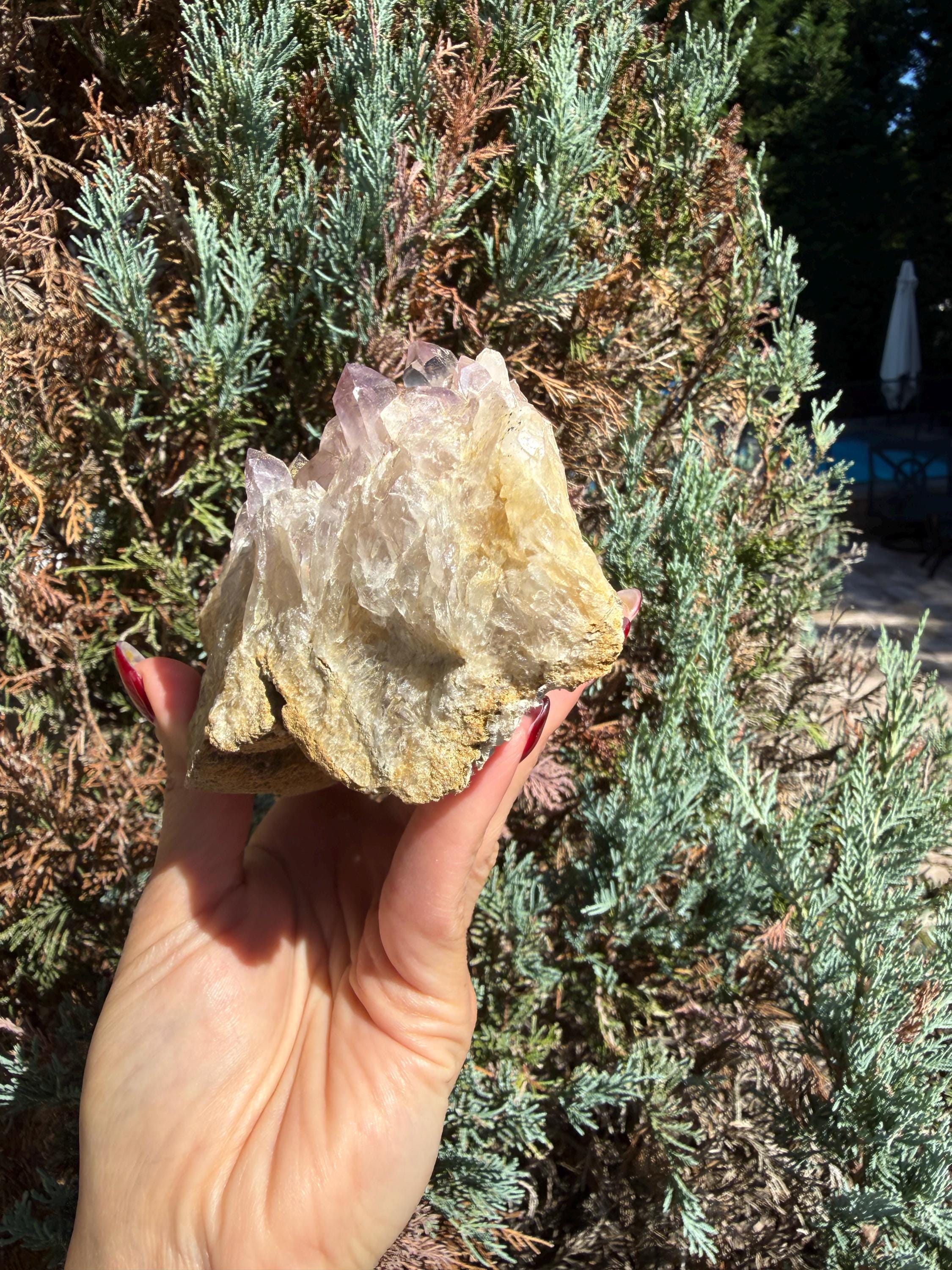 Large Guerrero Amethyst Freeform • Cut Base Crystal • Mexico • Purple Quartz Statement Stone • Healing Decor 5