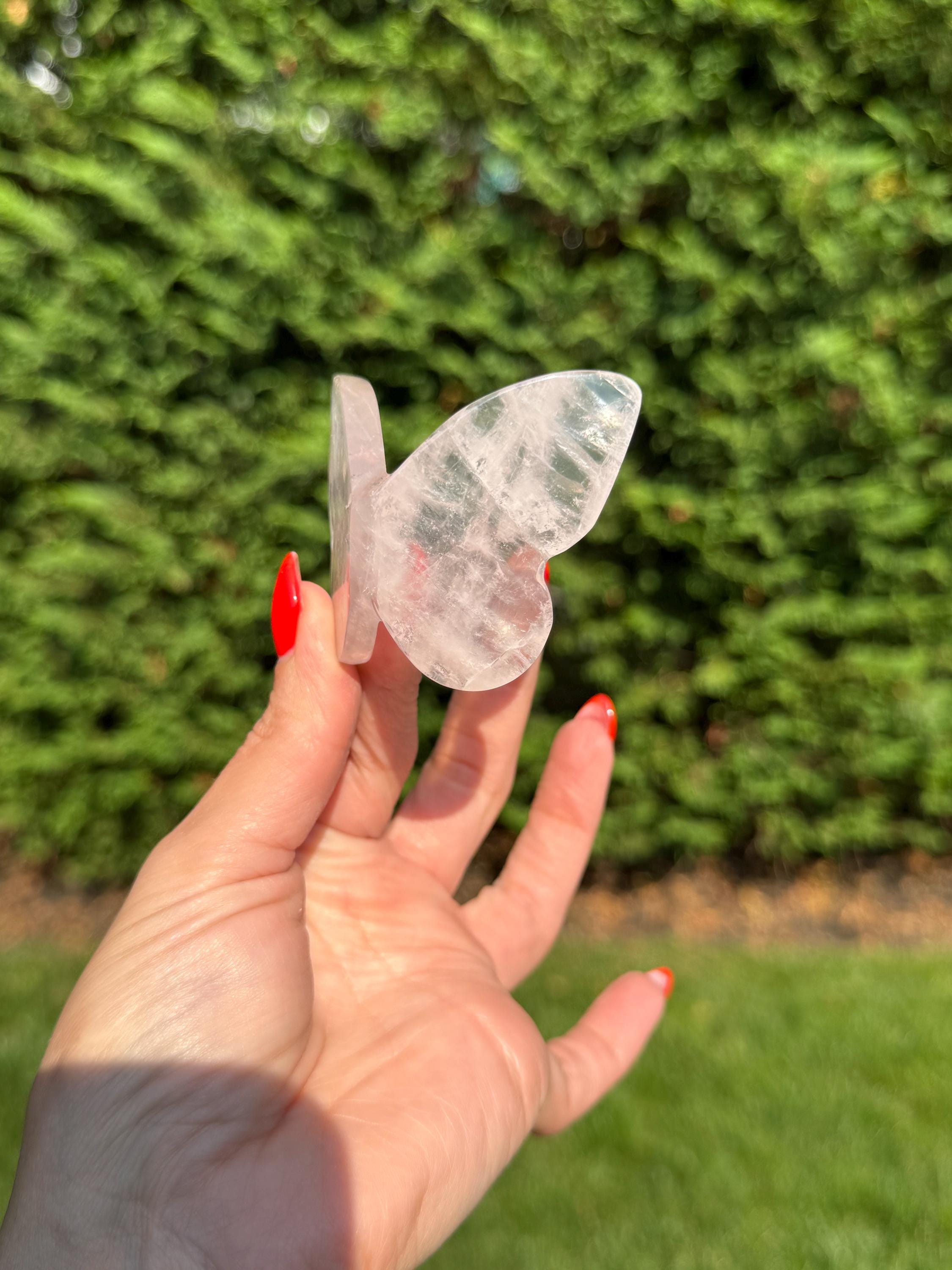 Rose Quartz Butterfly Carving • Golden Healer Crystal • Hand Carved Gemstone Decor 3