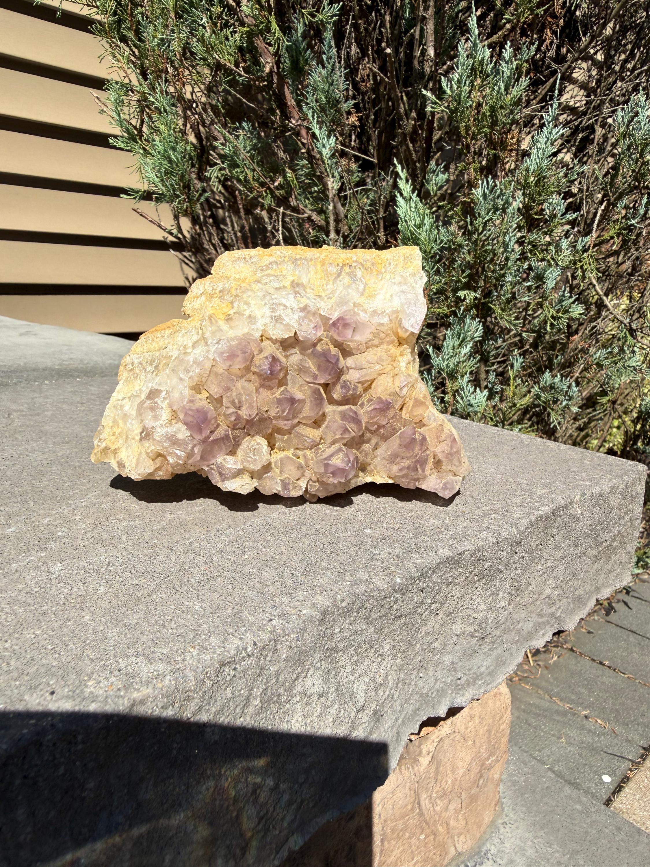 Large Guerrero Amethyst Freeform • Cut Base Crystal • Mexico • Purple Quartz Statement Stone • Healing Decor