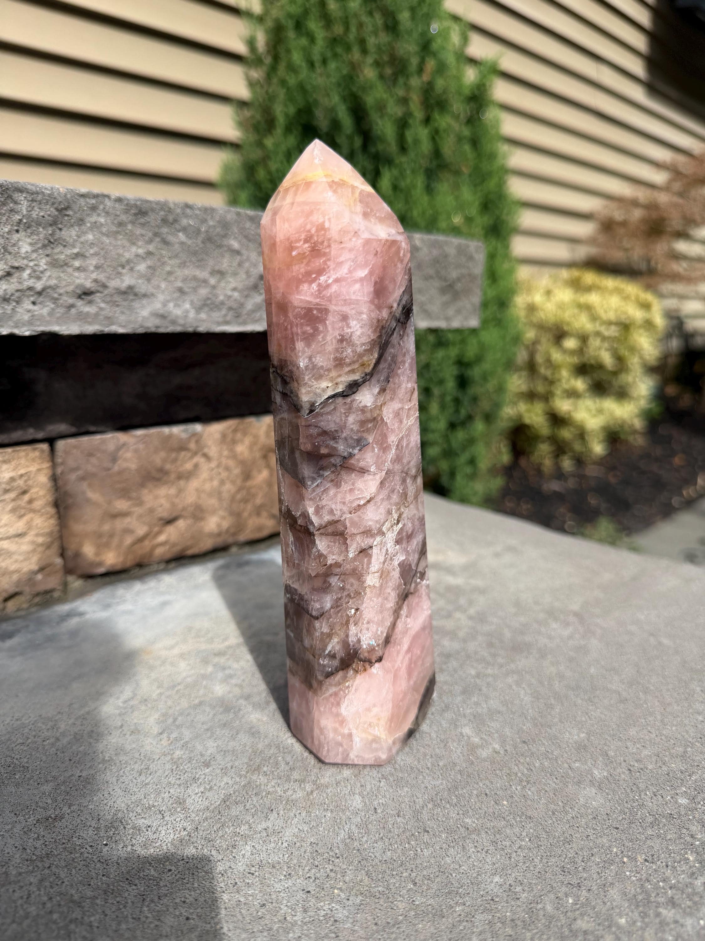 XL Rose Quartz Tower with Black Mineral Inclusions 4