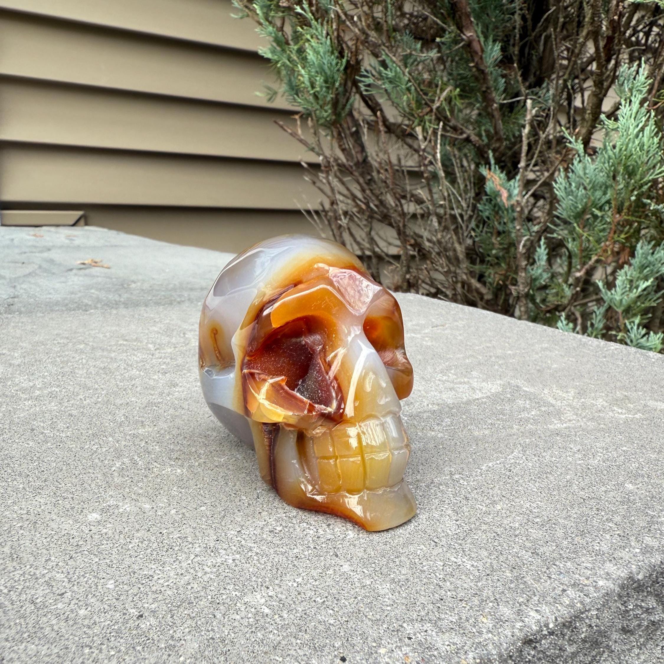 Druzy Carnelian Agate Crystal Skull, Hand Carved Stone, Natural Healing Decor 2