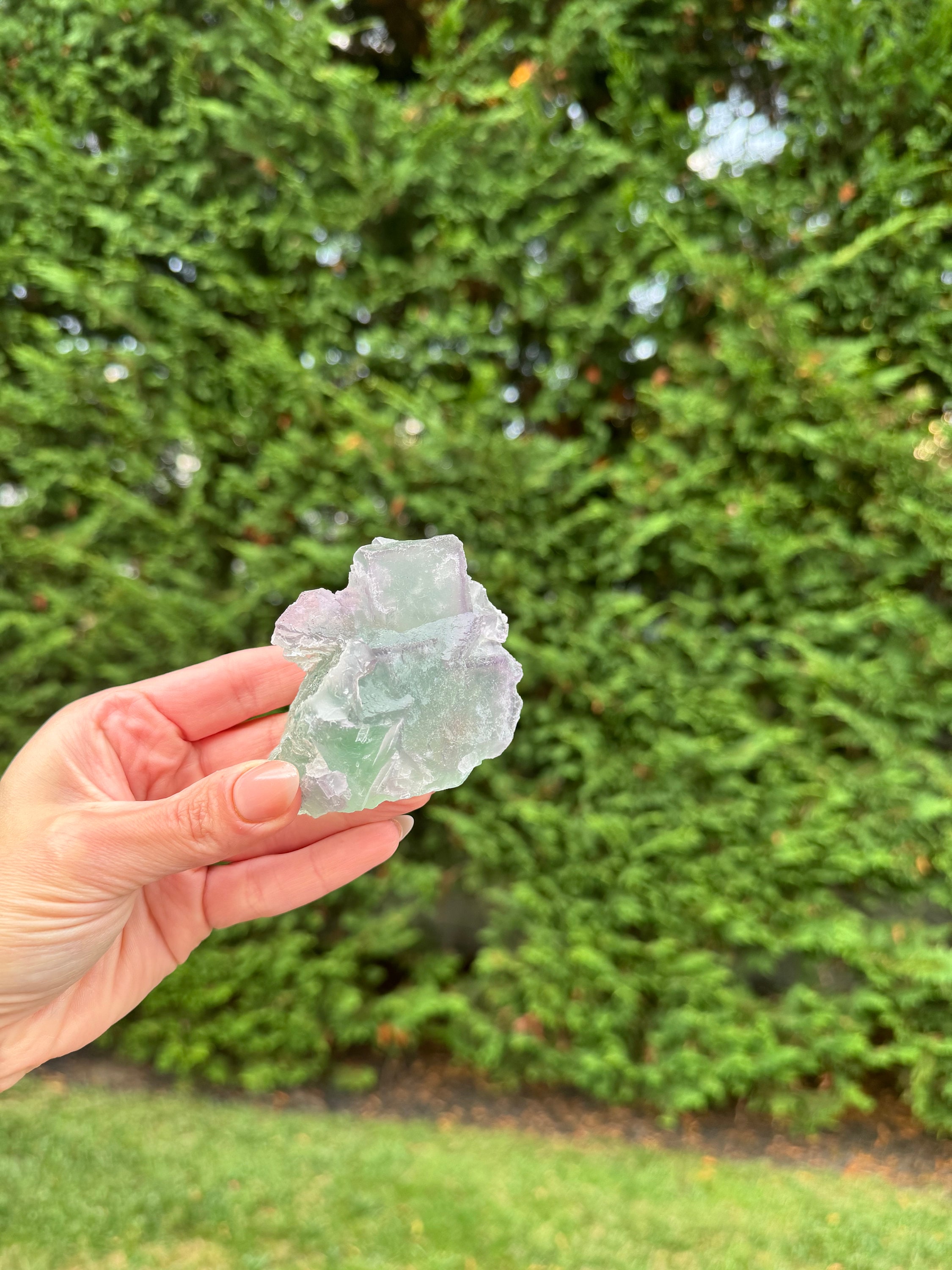 Green & Purple Fluorite Cubic Crystal Specimen • China • Natural Healing Stone • Mineral Cube • Crystal Decor 6