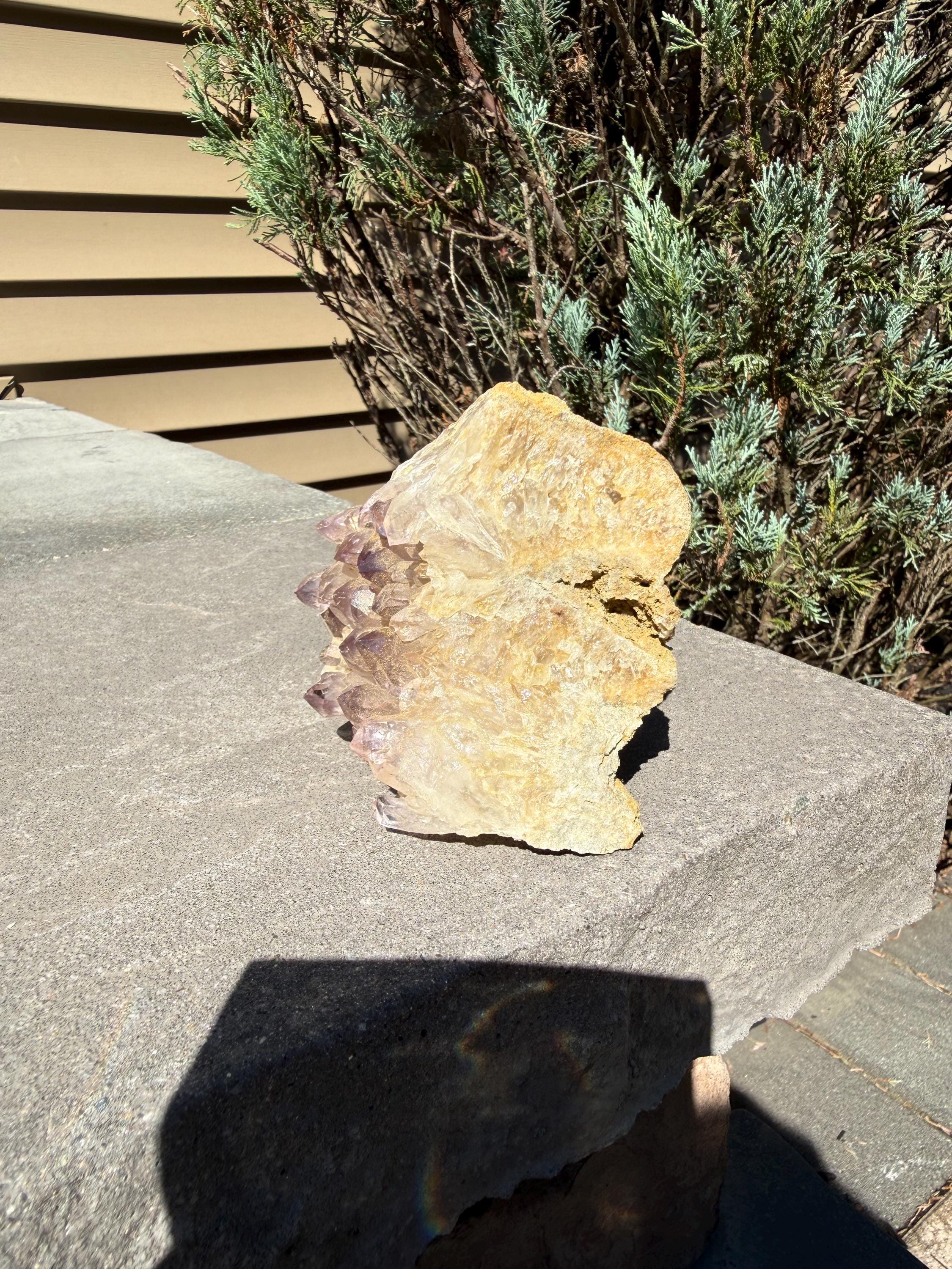 Large Guerrero Amethyst Freeform • Cut Base Crystal • Mexico • Purple Quartz Statement Stone • Healing Decor 9