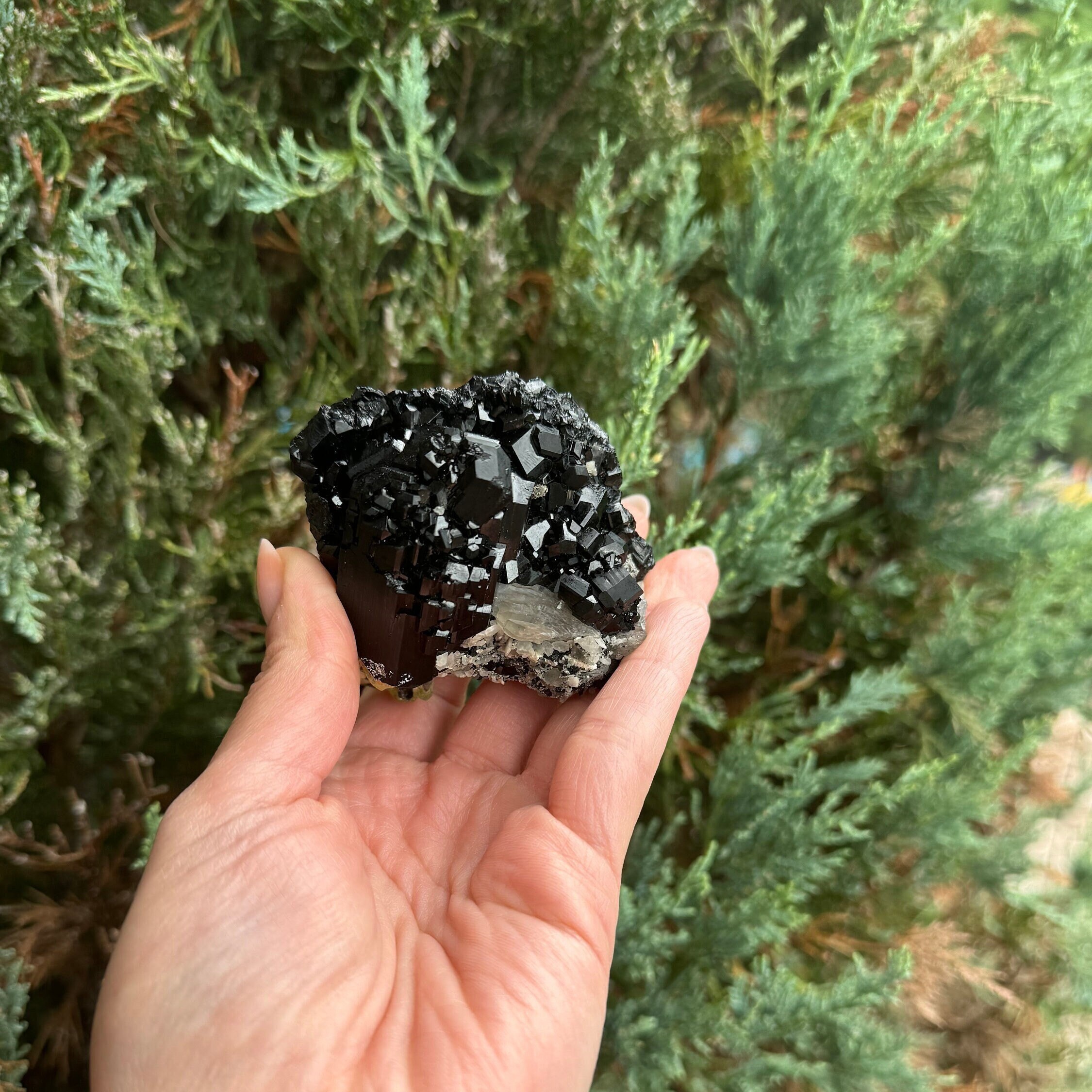 Black Tourmaline & Feldspar Specimen • Protective Grounding Crystal • Natural Mineral • Healing Stone • Collector Piece 2