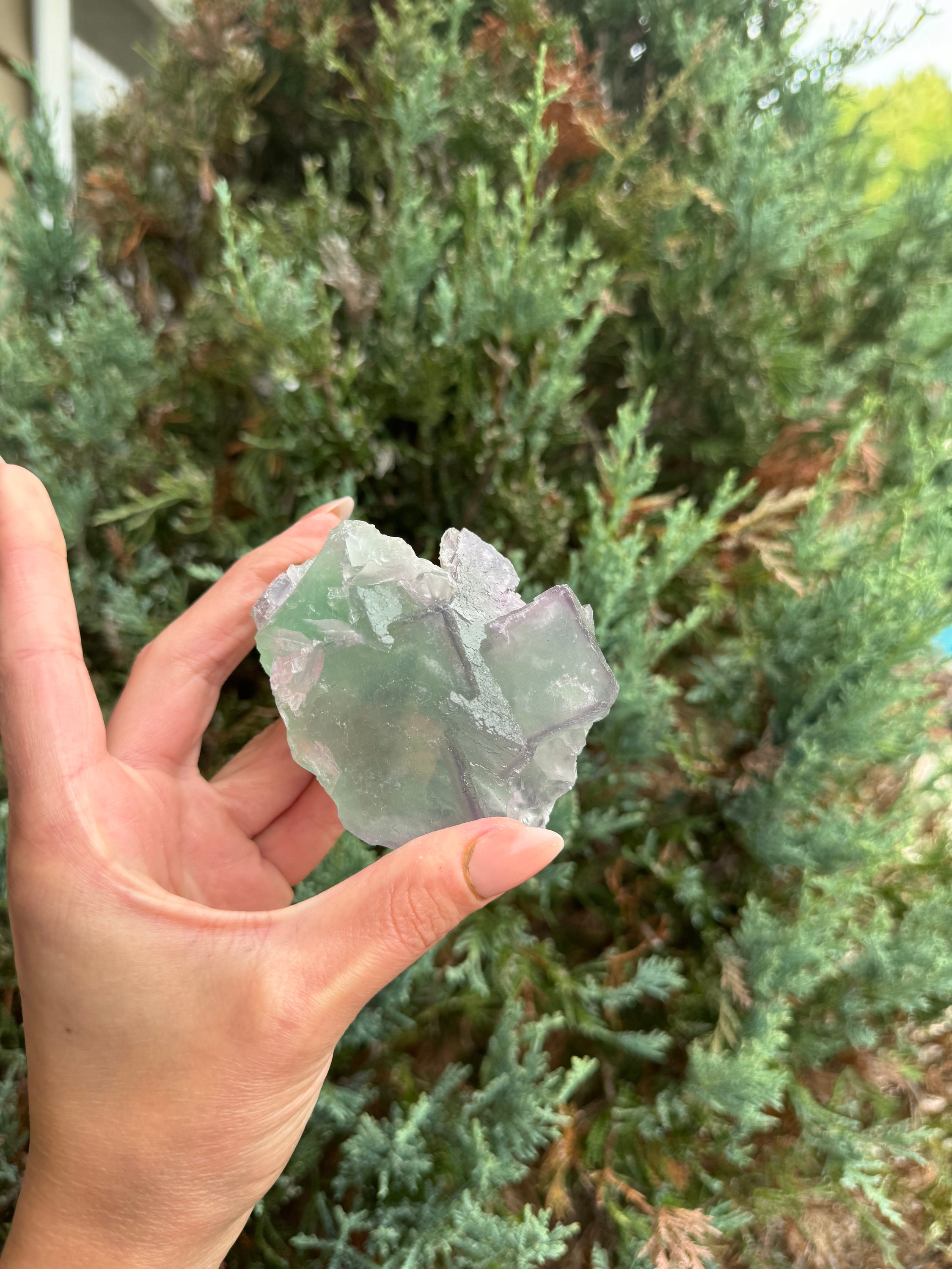 Green & Purple Fluorite Cubic Crystal Specimen • China • Natural Healing Stone • Mineral Cube • Crystal Decor 4