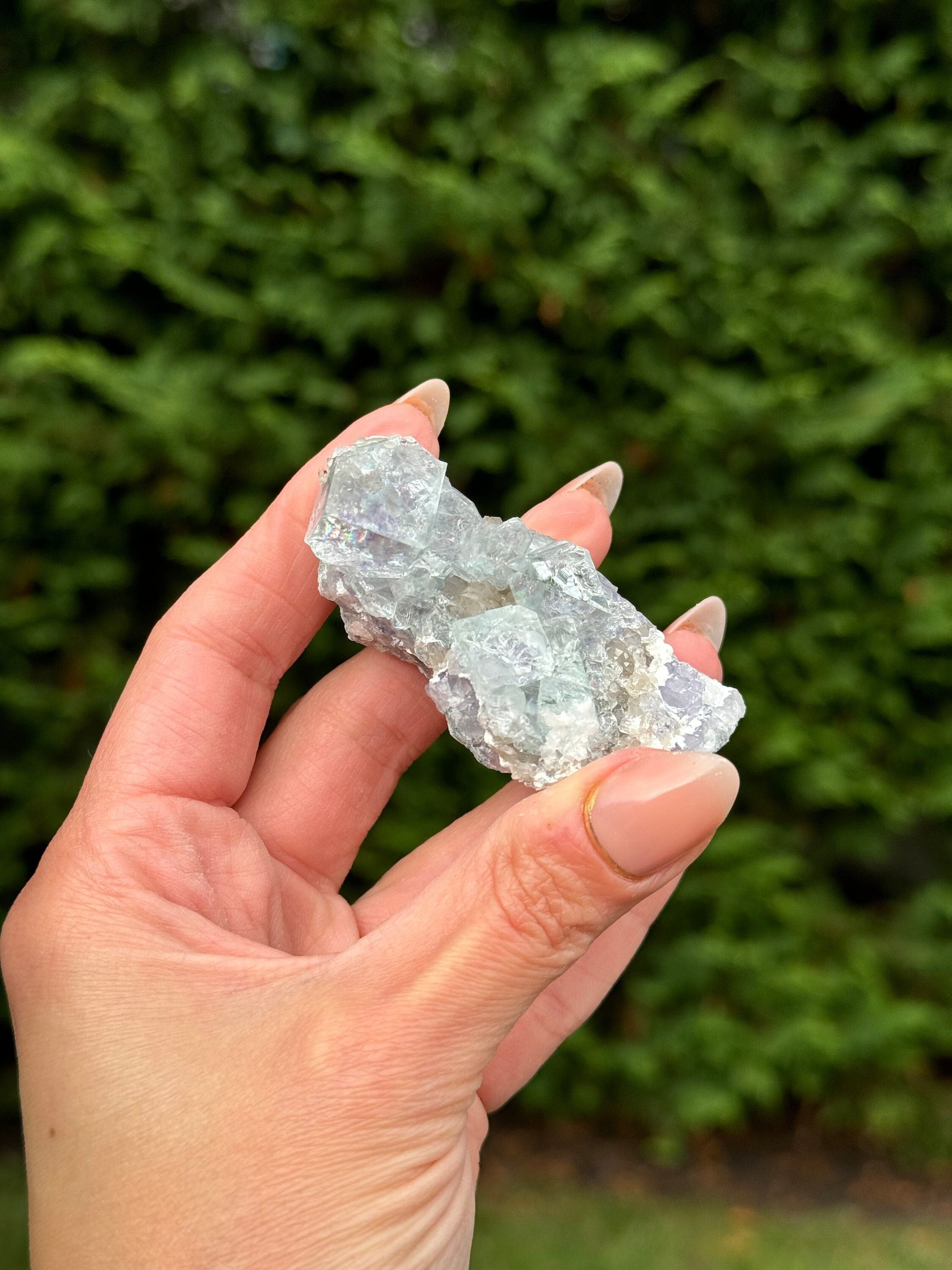 Blue Purple Fluorite Cubic Crystal Specimen • Natural Mineral Collector Stone
