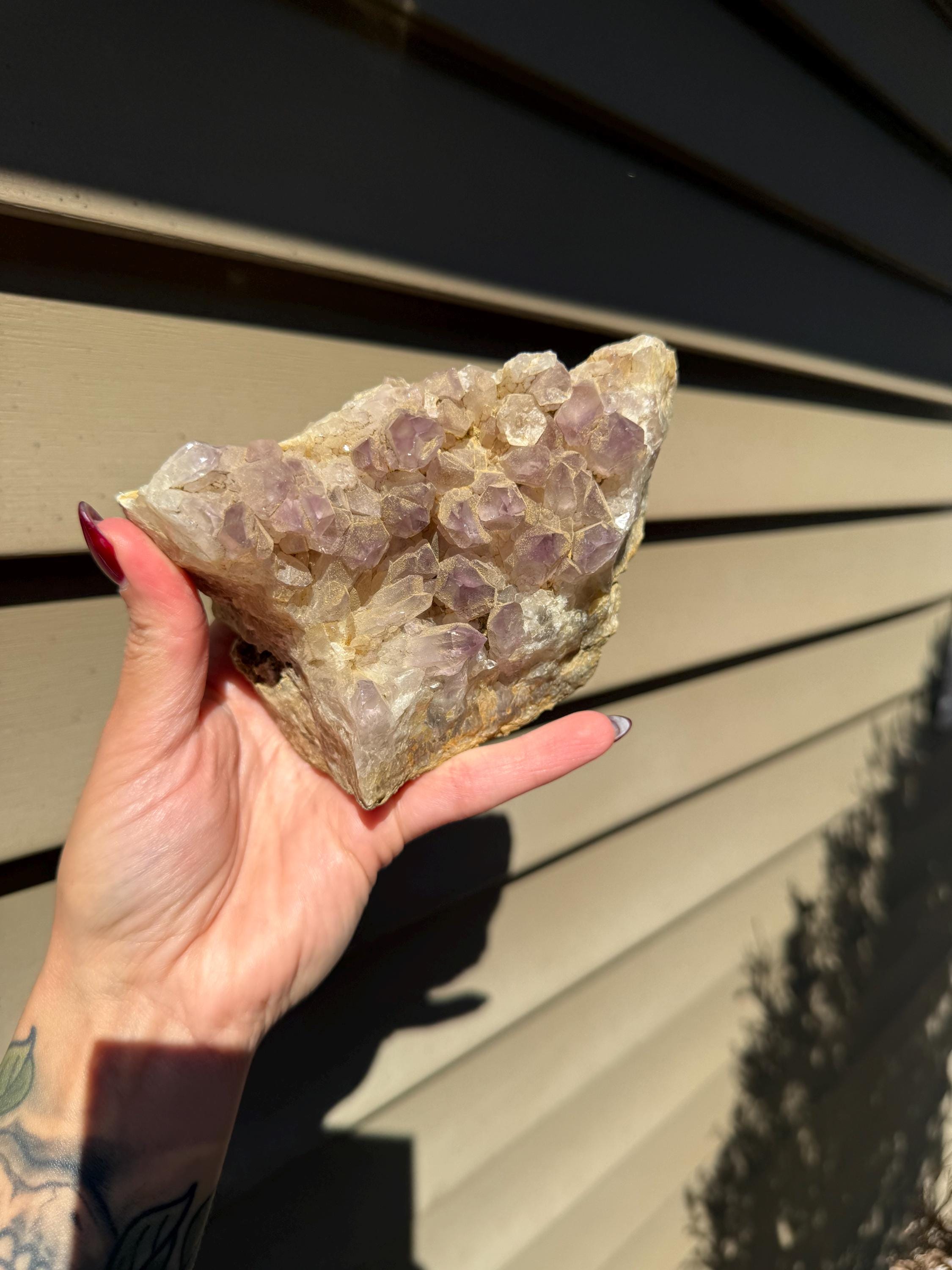 Large Guerrero Amethyst Freeform • Cut Base Crystal • Mexico • Purple Quartz Statement Stone • Healing Decor 7