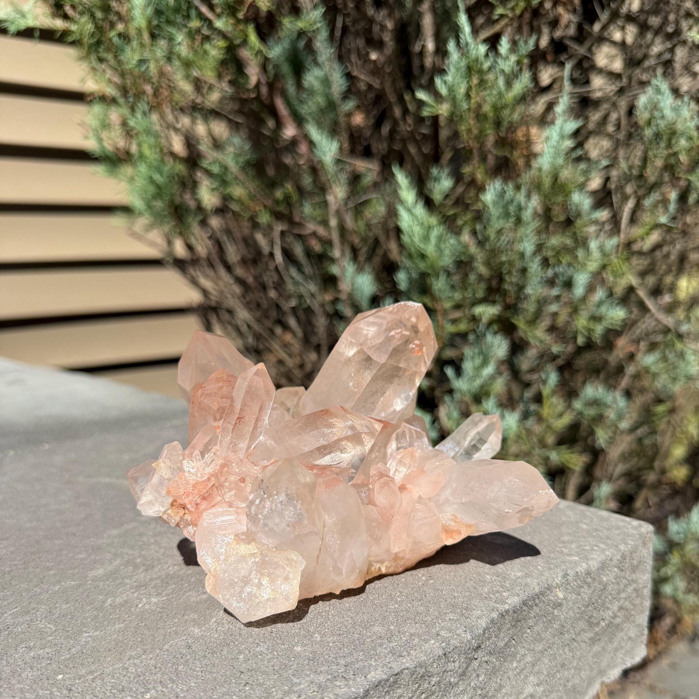 Large Hematite Included Quartz Crystal Cluster: Grounding & Energizing Natural Indian Specimen 11