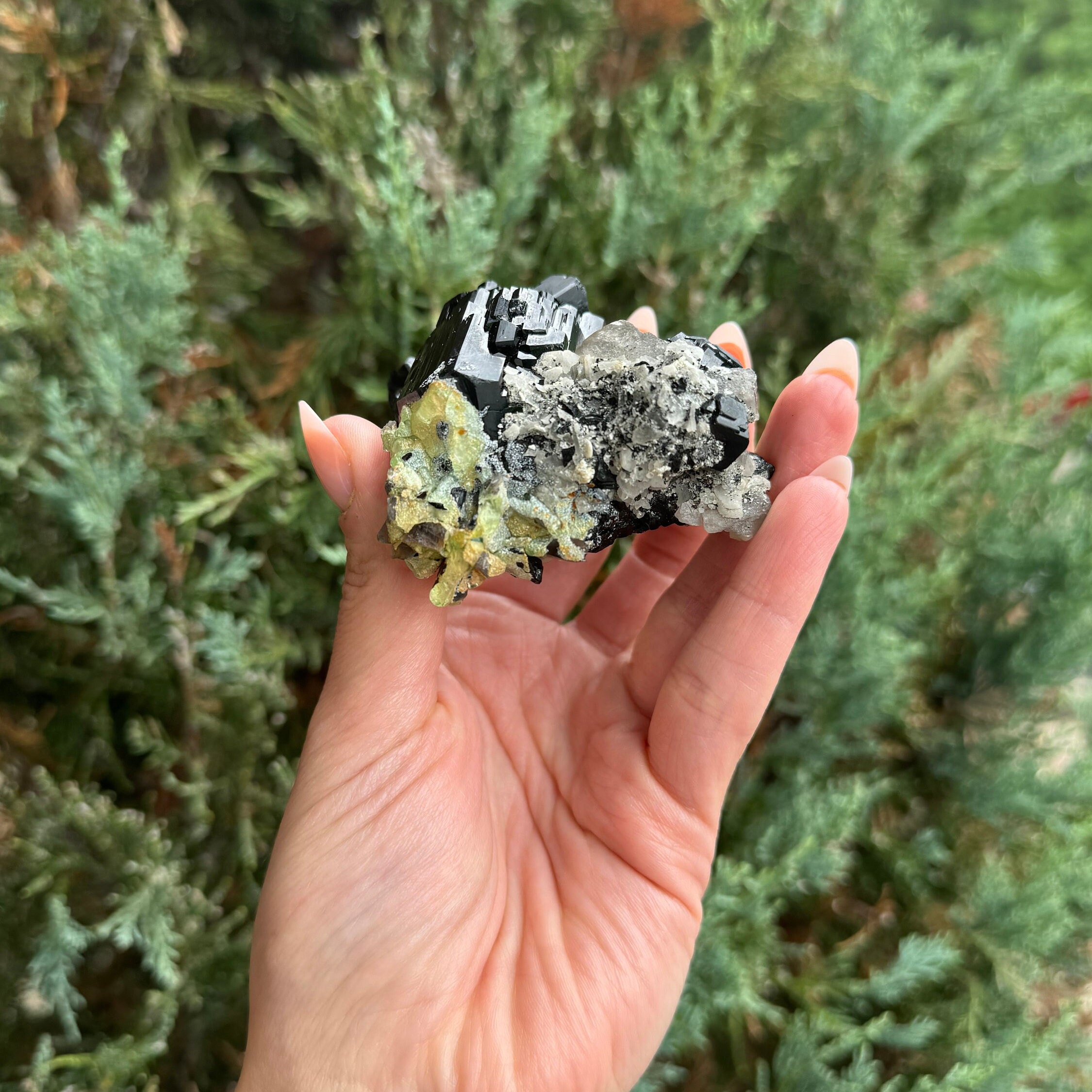 Black Tourmaline & Feldspar Specimen • Protective Grounding Crystal • Natural Mineral • Healing Stone • Collector Piece 8