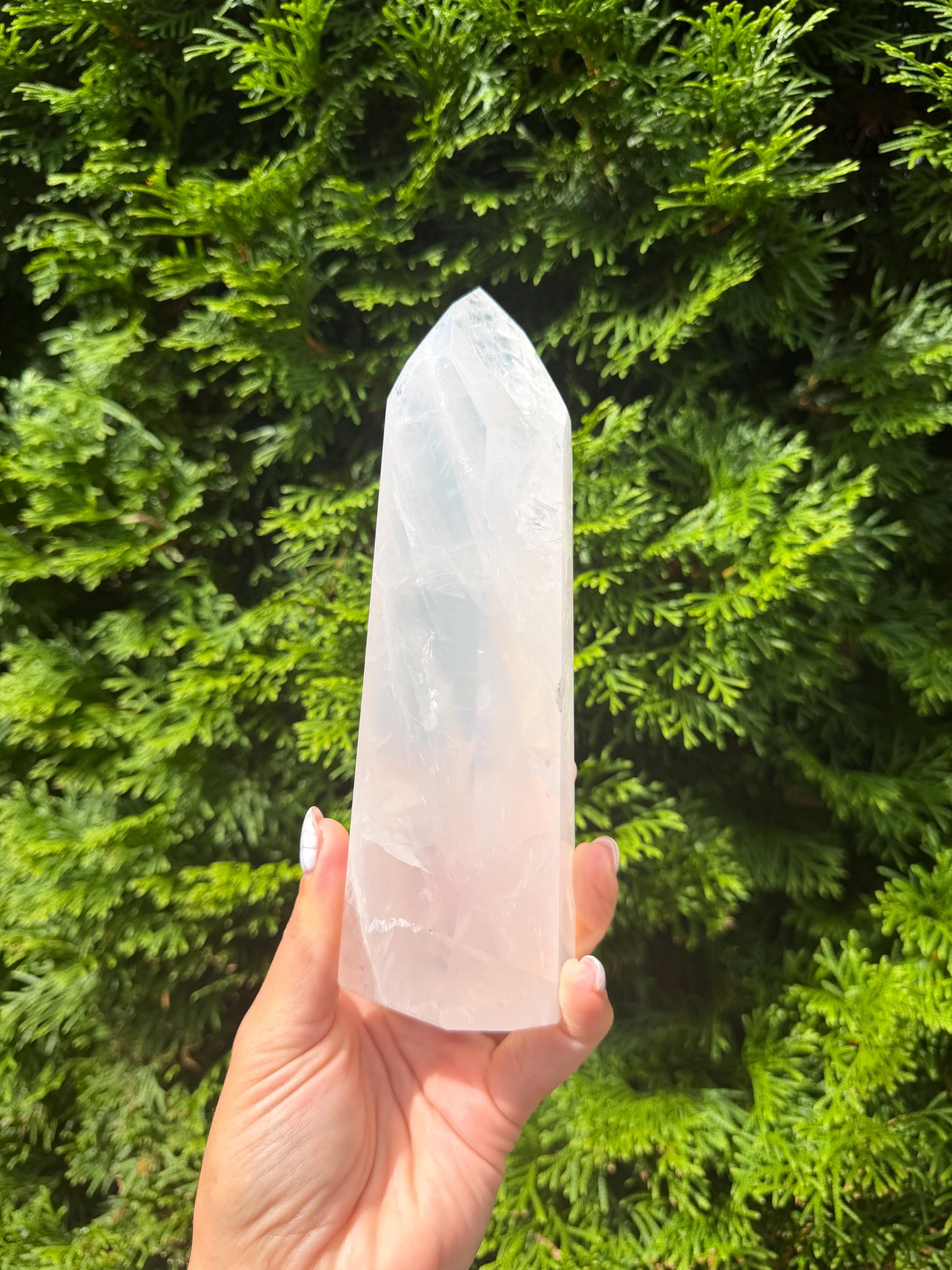 XL Girasol Quartz Crystal Tower • Milky Opalescent Glow • Polished Crystal Point 16