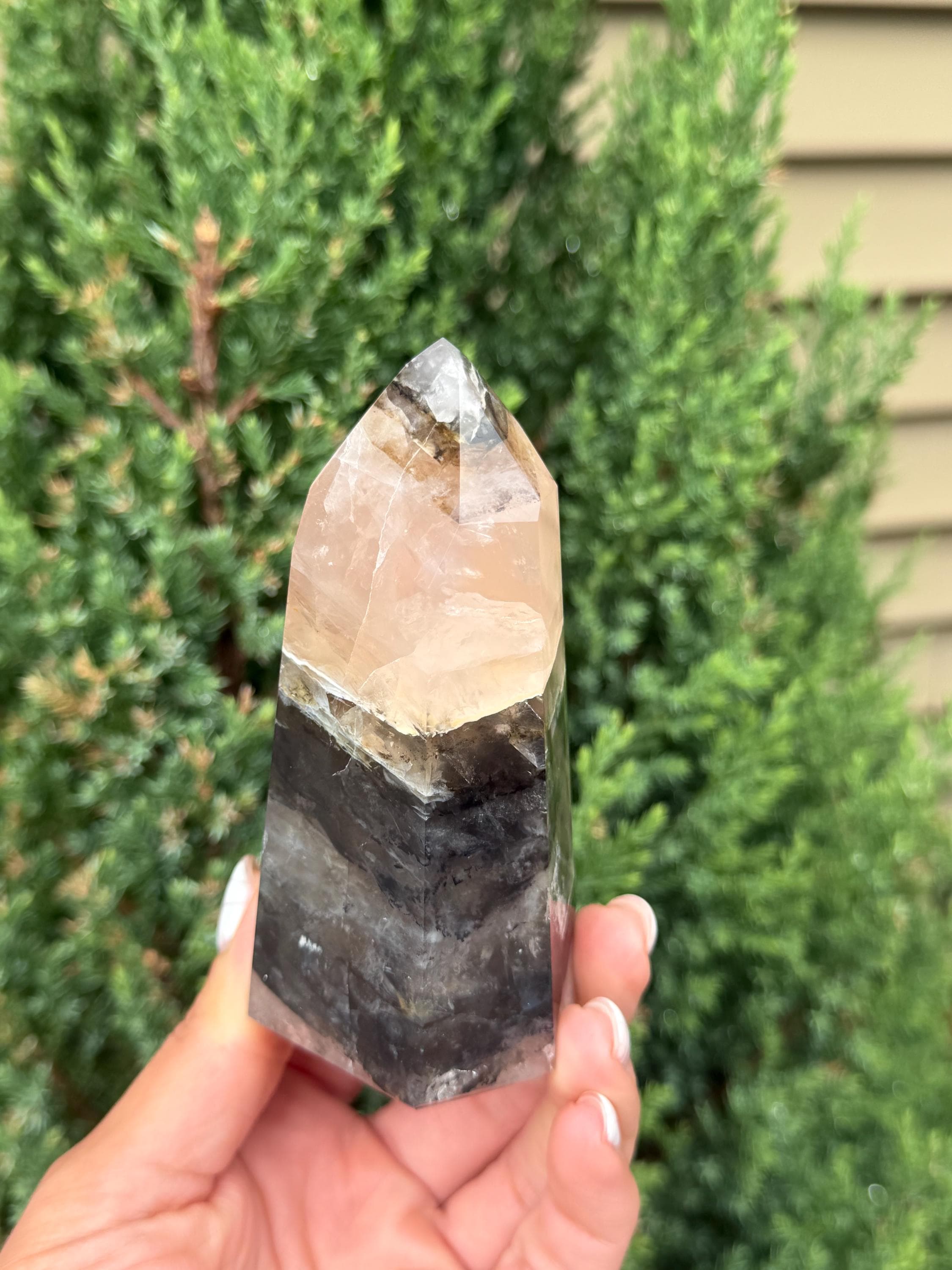 Rose Quartz Tower with Black Mineral Inclusions 2