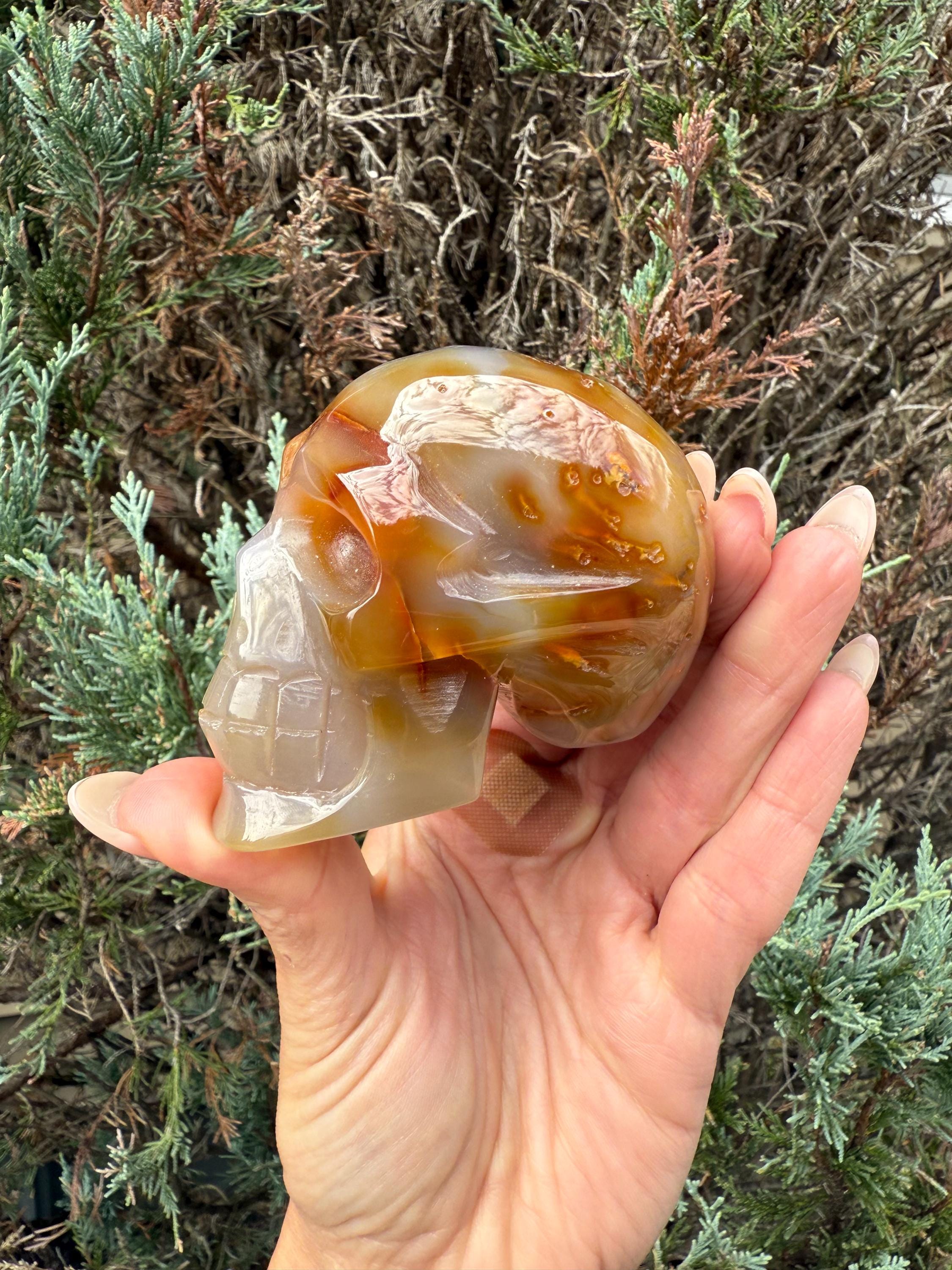 Druzy Carnelian Agate Crystal Skull, Hand Carved Stone, Natural Healing Decor 8