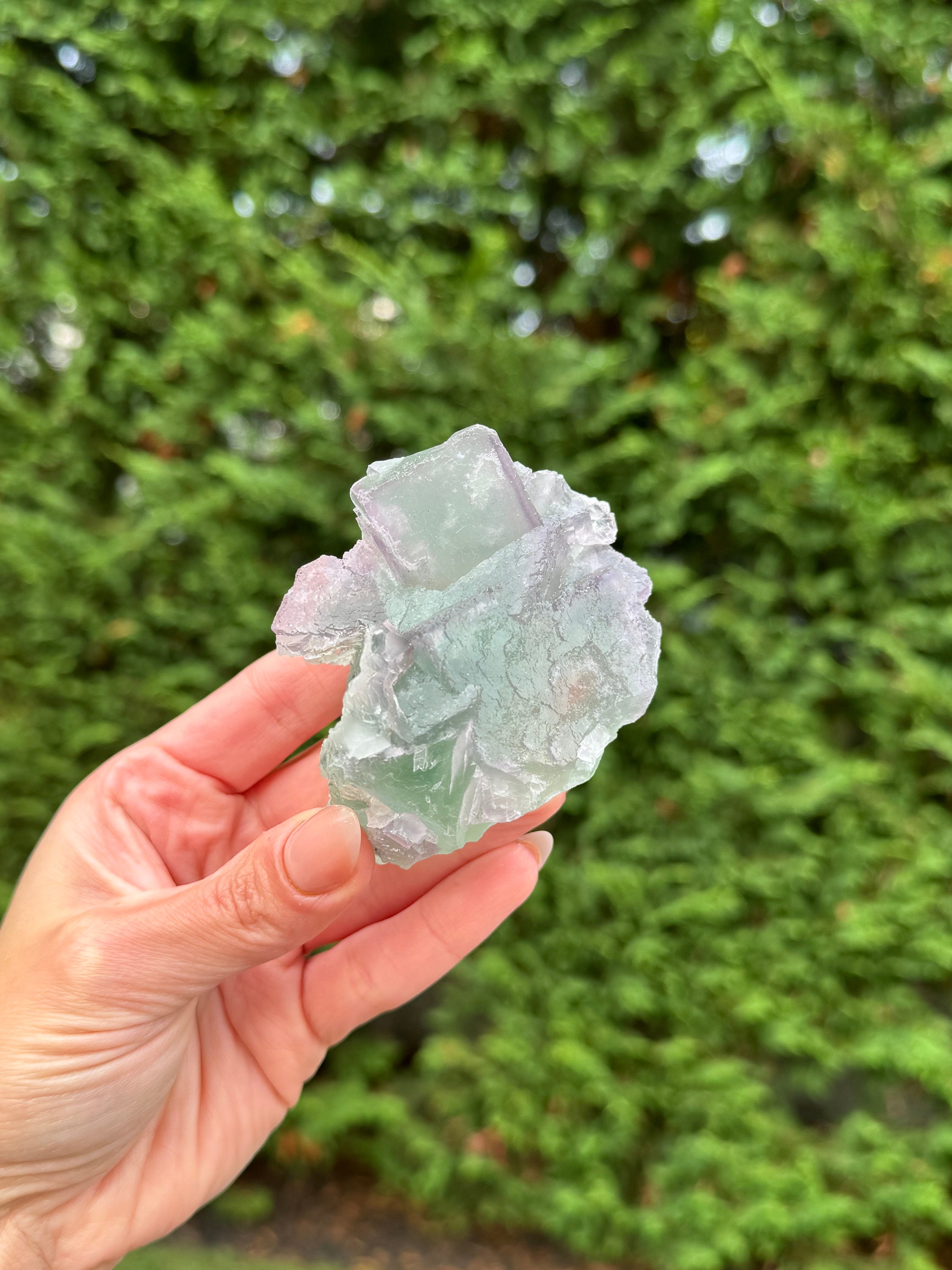 Green & Purple Fluorite Cubic Crystal Specimen • China • Natural Healing Stone • Mineral Cube • Crystal Decor 7