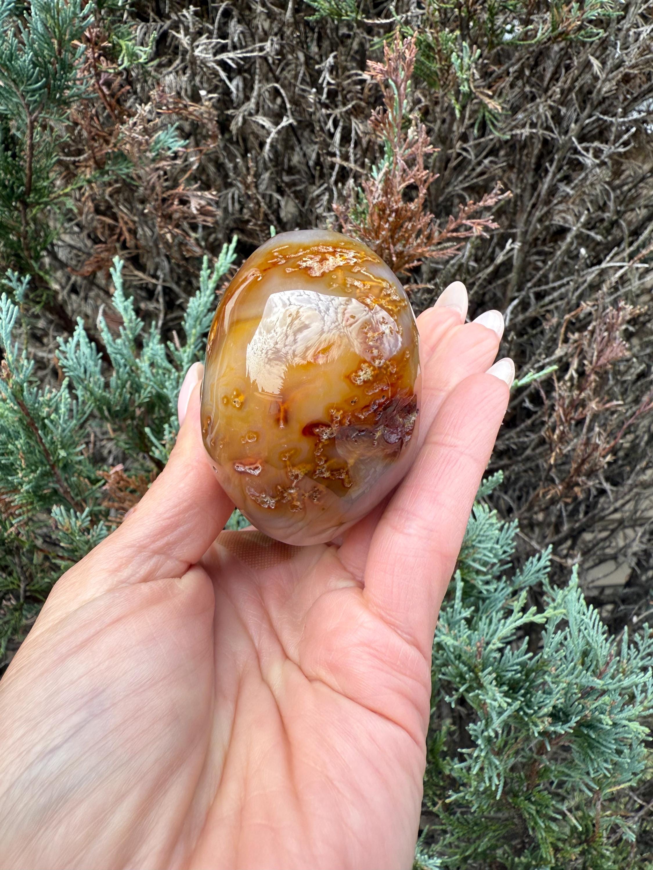 Druzy Carnelian Agate Crystal Skull, Hand Carved Stone, Natural Healing Decor 7