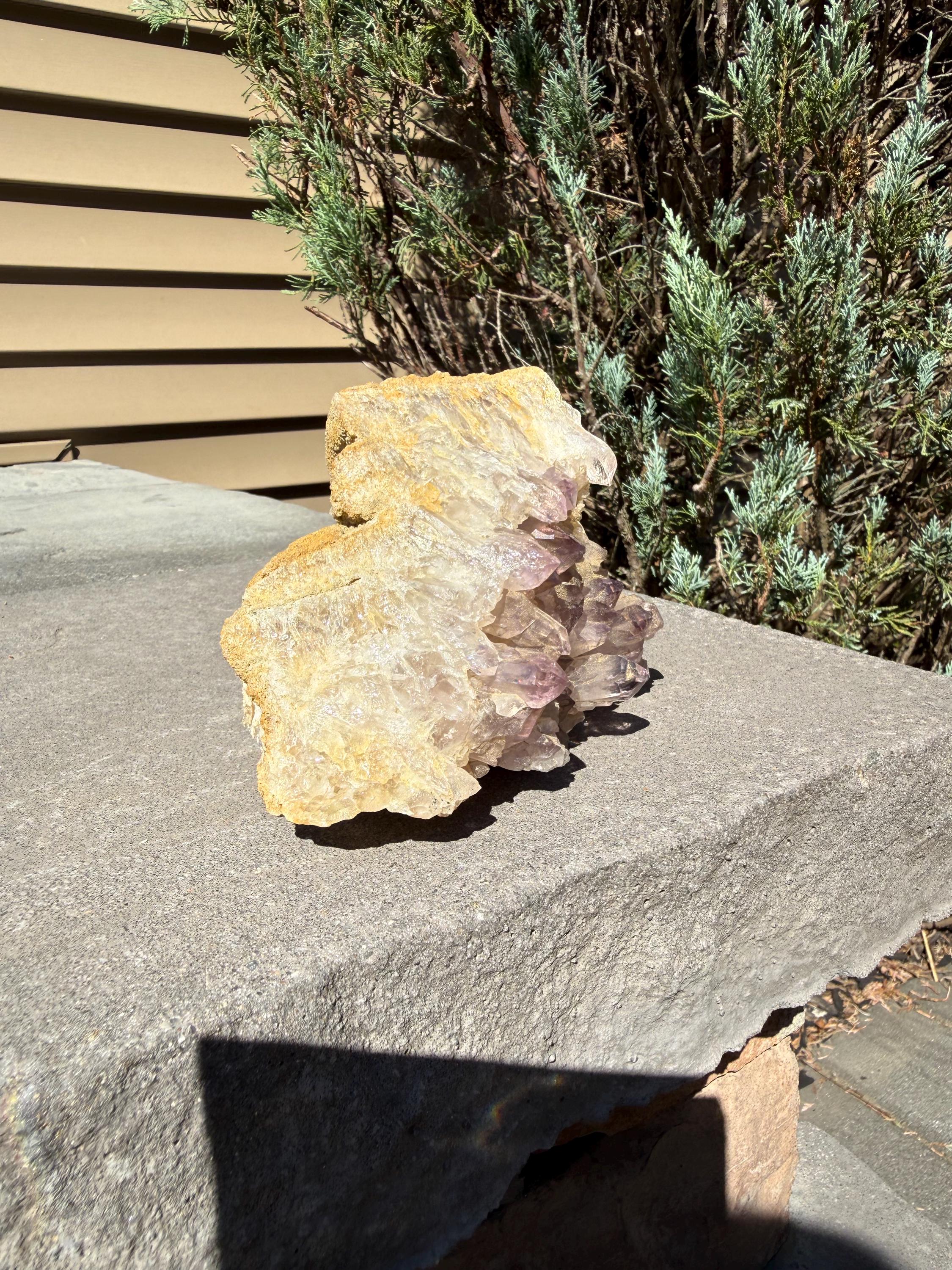 Large Guerrero Amethyst Freeform • Cut Base Crystal • Mexico • Purple Quartz Statement Stone • Healing Decor 11