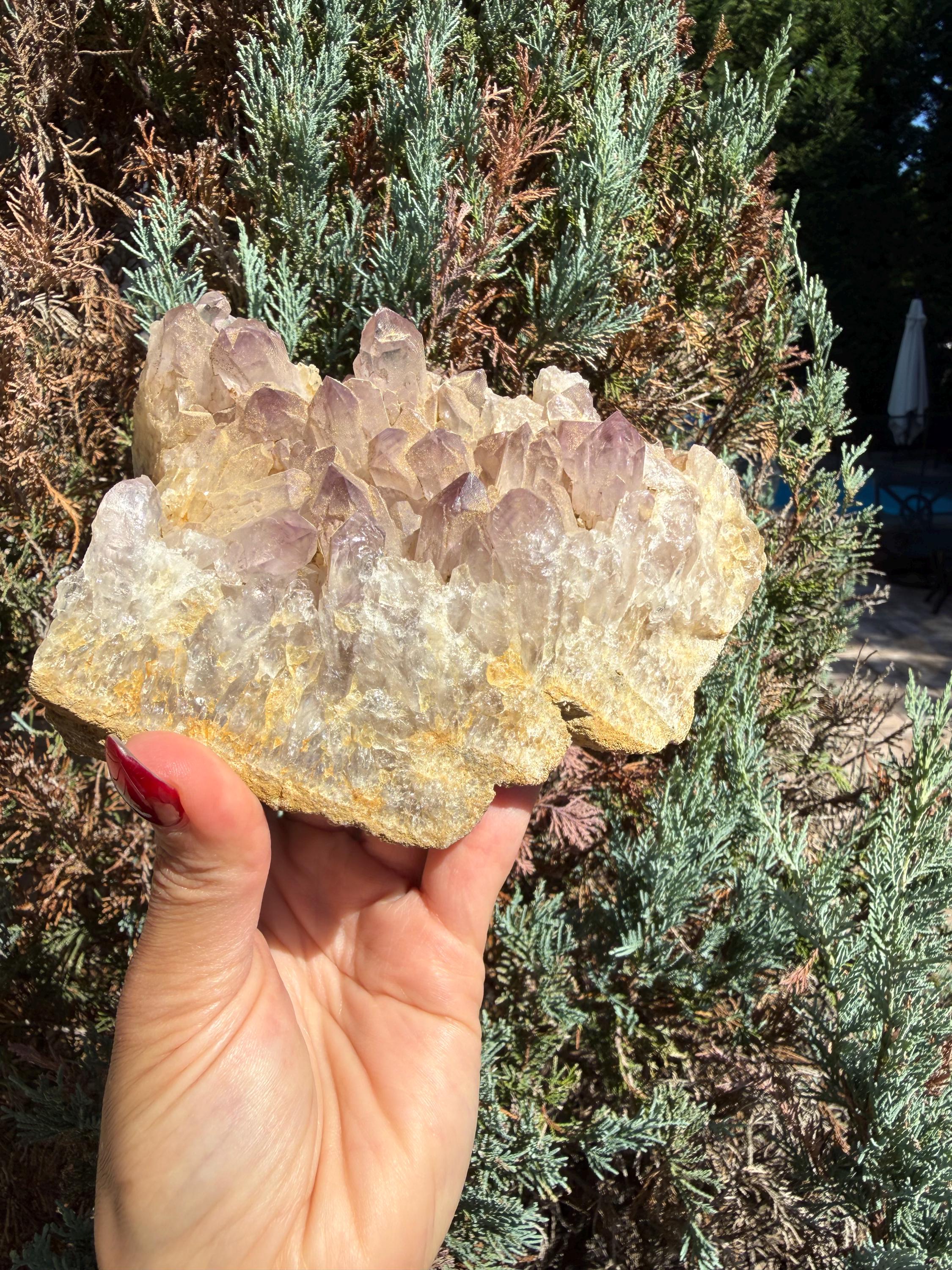 Large Guerrero Amethyst Freeform • Cut Base Crystal • Mexico • Purple Quartz Statement Stone • Healing Decor 3