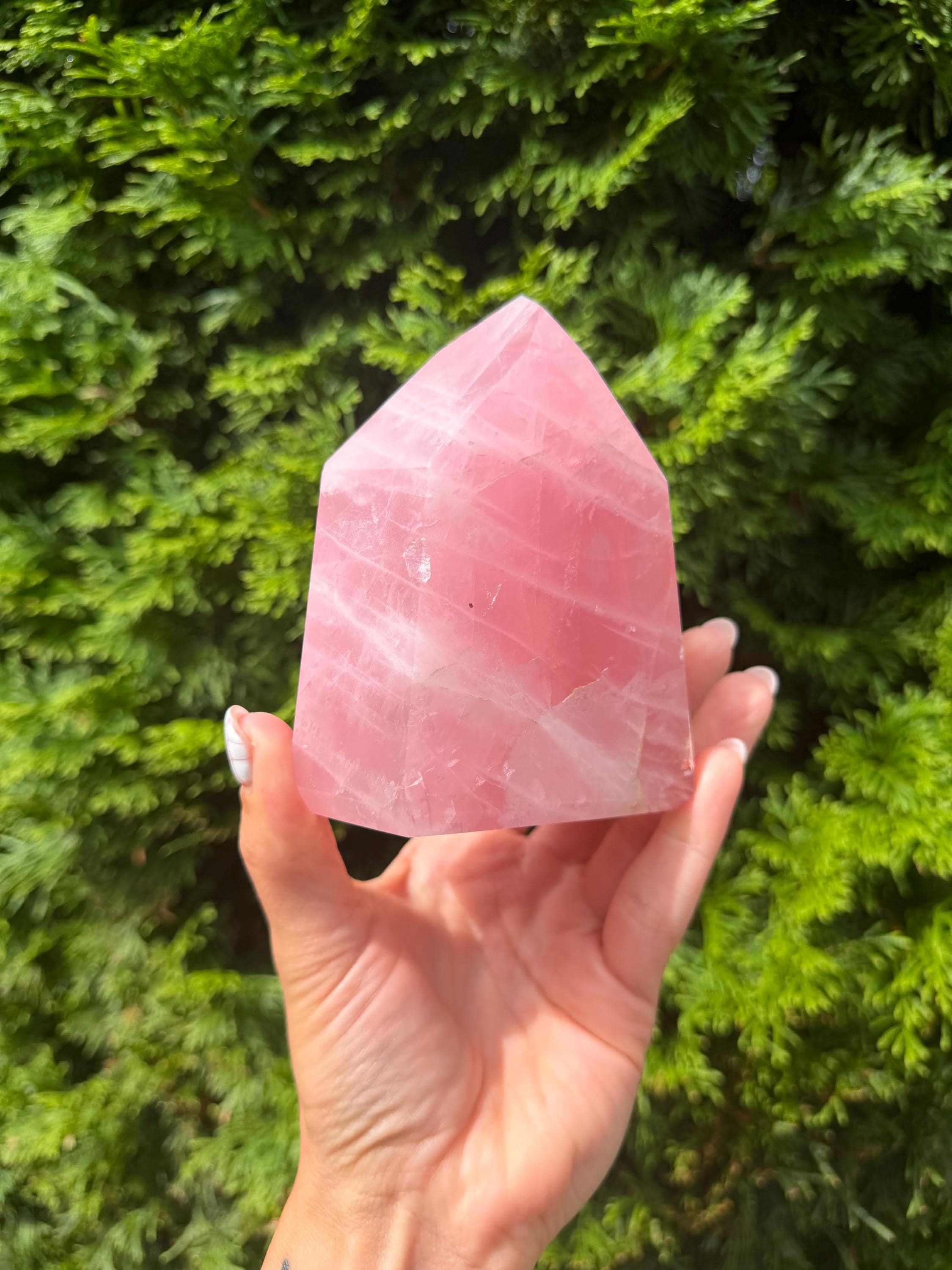 Brazilian Rose Quartz Chunky Point: Polished Pink Crystal Specimen (4"x3.5") 5