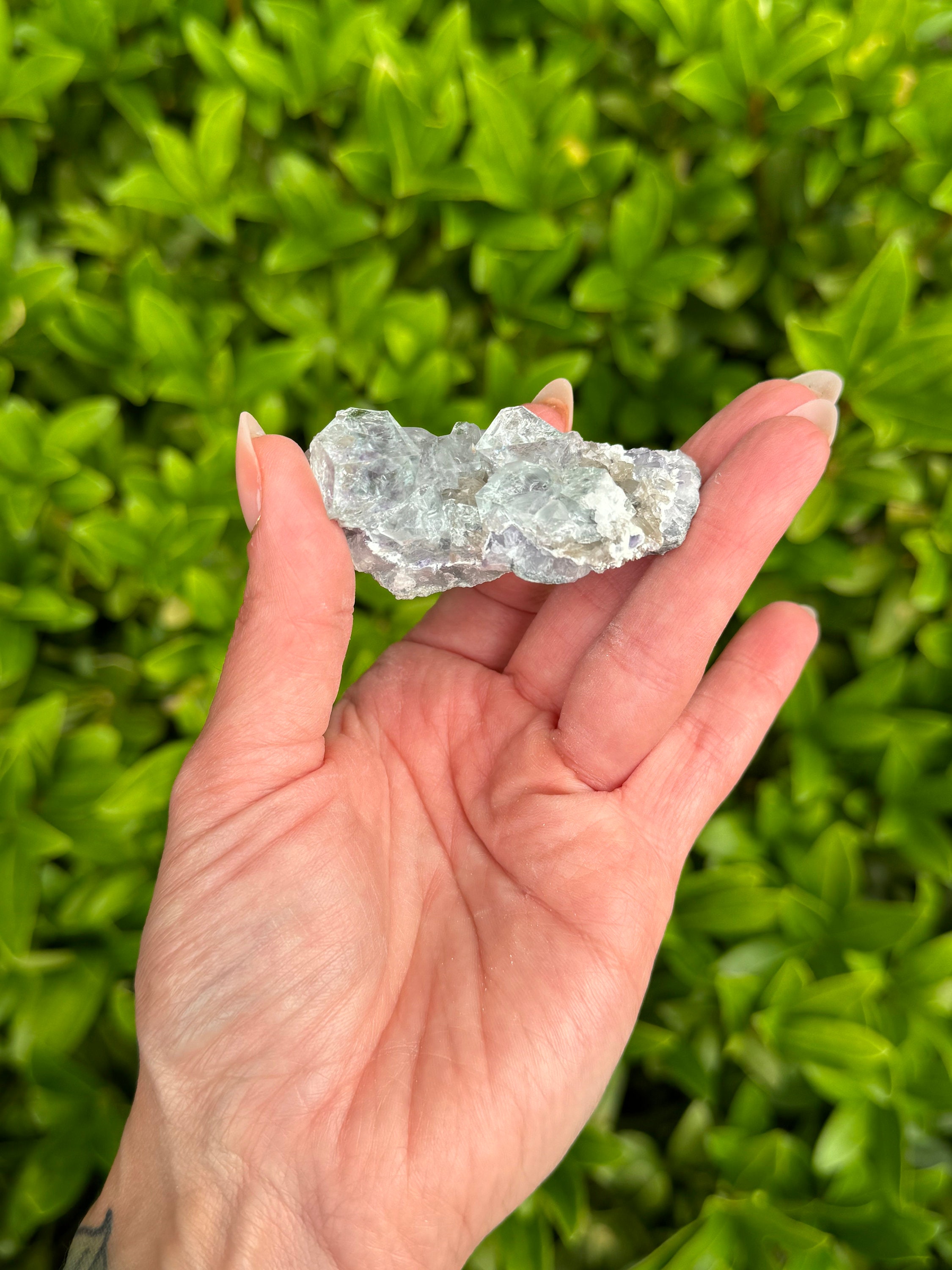 Blue Purple Fluorite Cubic Crystal Specimen • Natural Mineral Collector Stone 7