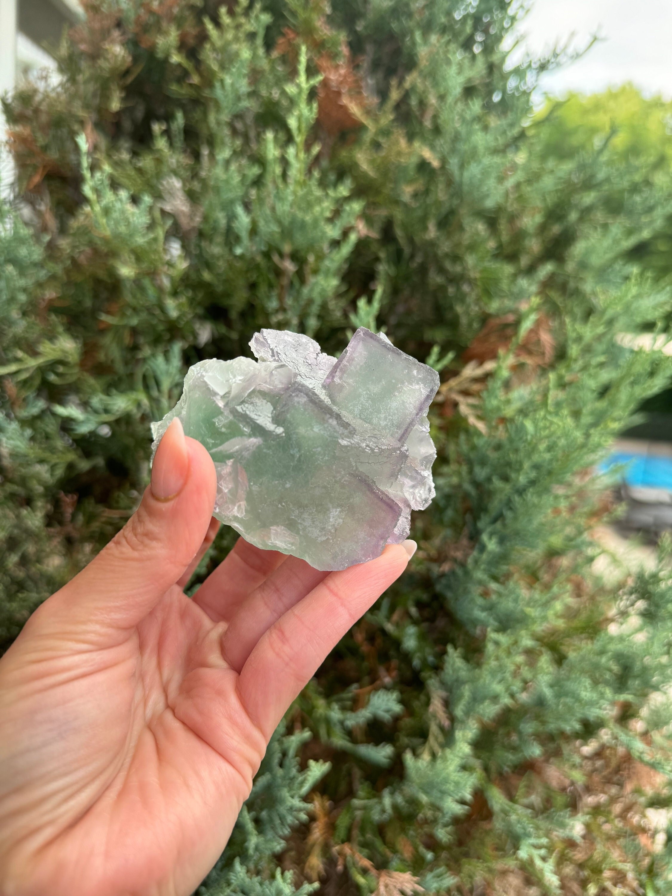 Green & Purple Fluorite Cubic Crystal Specimen • China • Natural Healing Stone • Mineral Cube • Crystal Decor