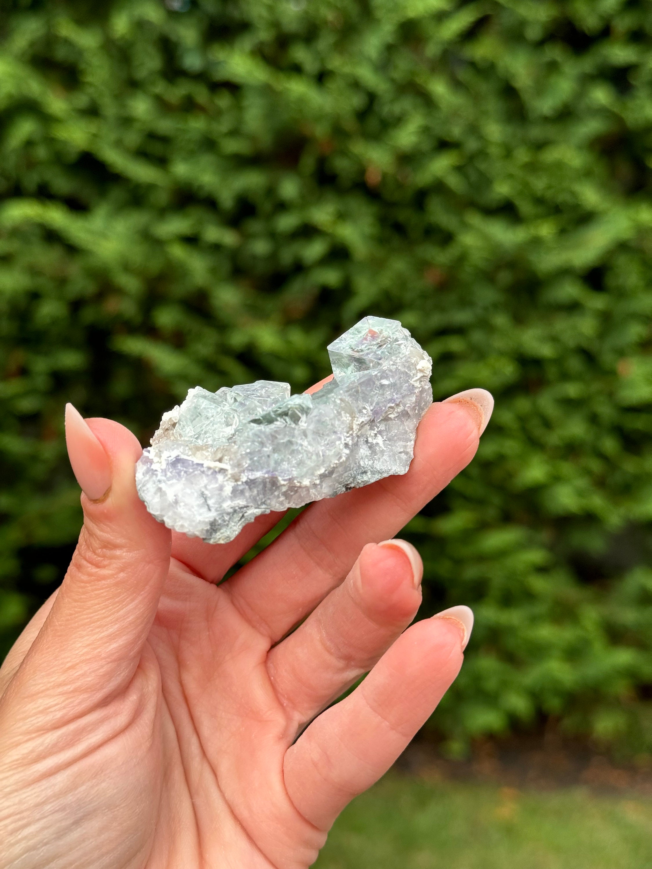 Blue Purple Fluorite Cubic Crystal Specimen • Natural Mineral Collector Stone 2