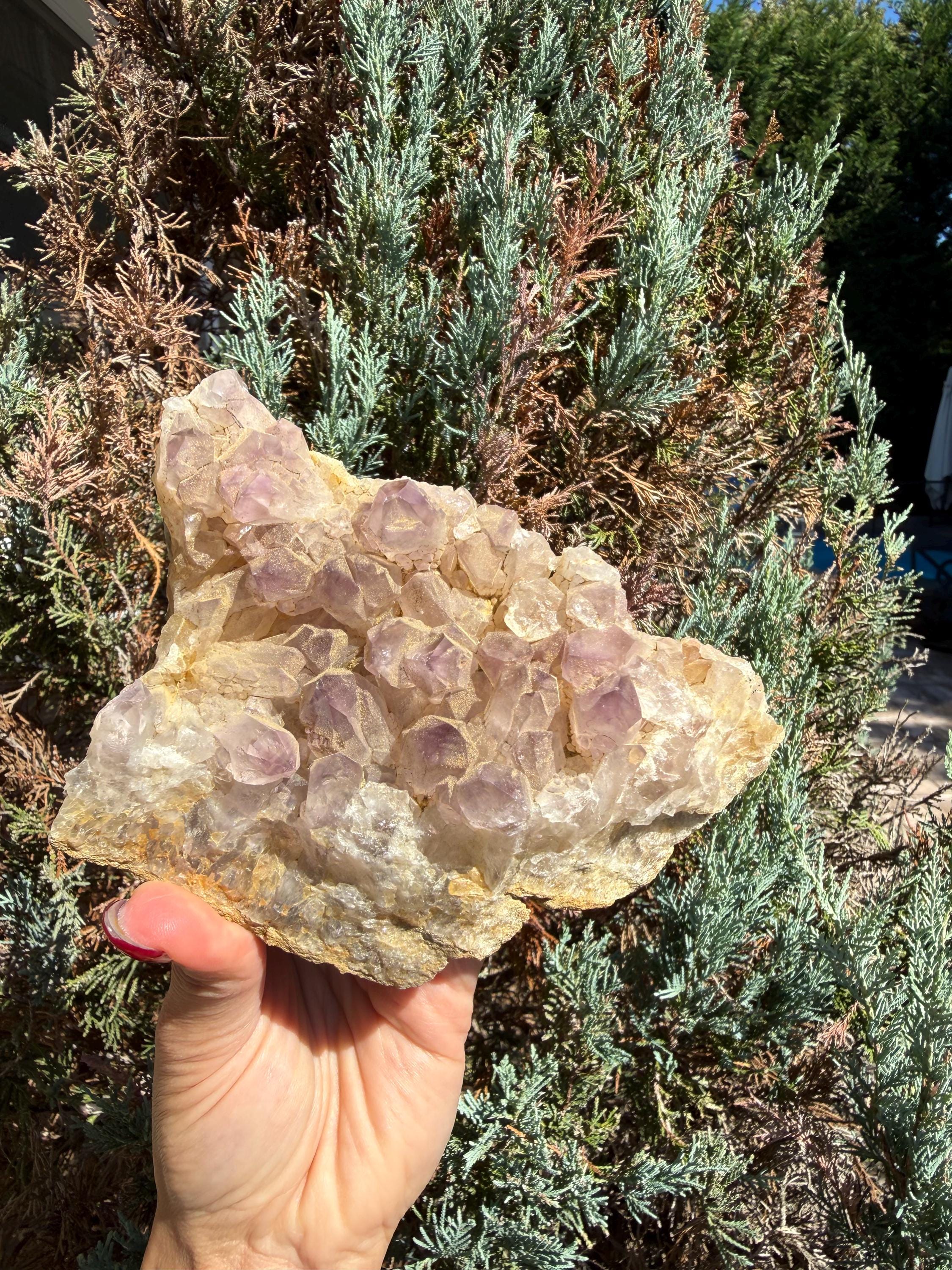 Large Guerrero Amethyst Freeform • Cut Base Crystal • Mexico • Purple Quartz Statement Stone • Healing Decor 2