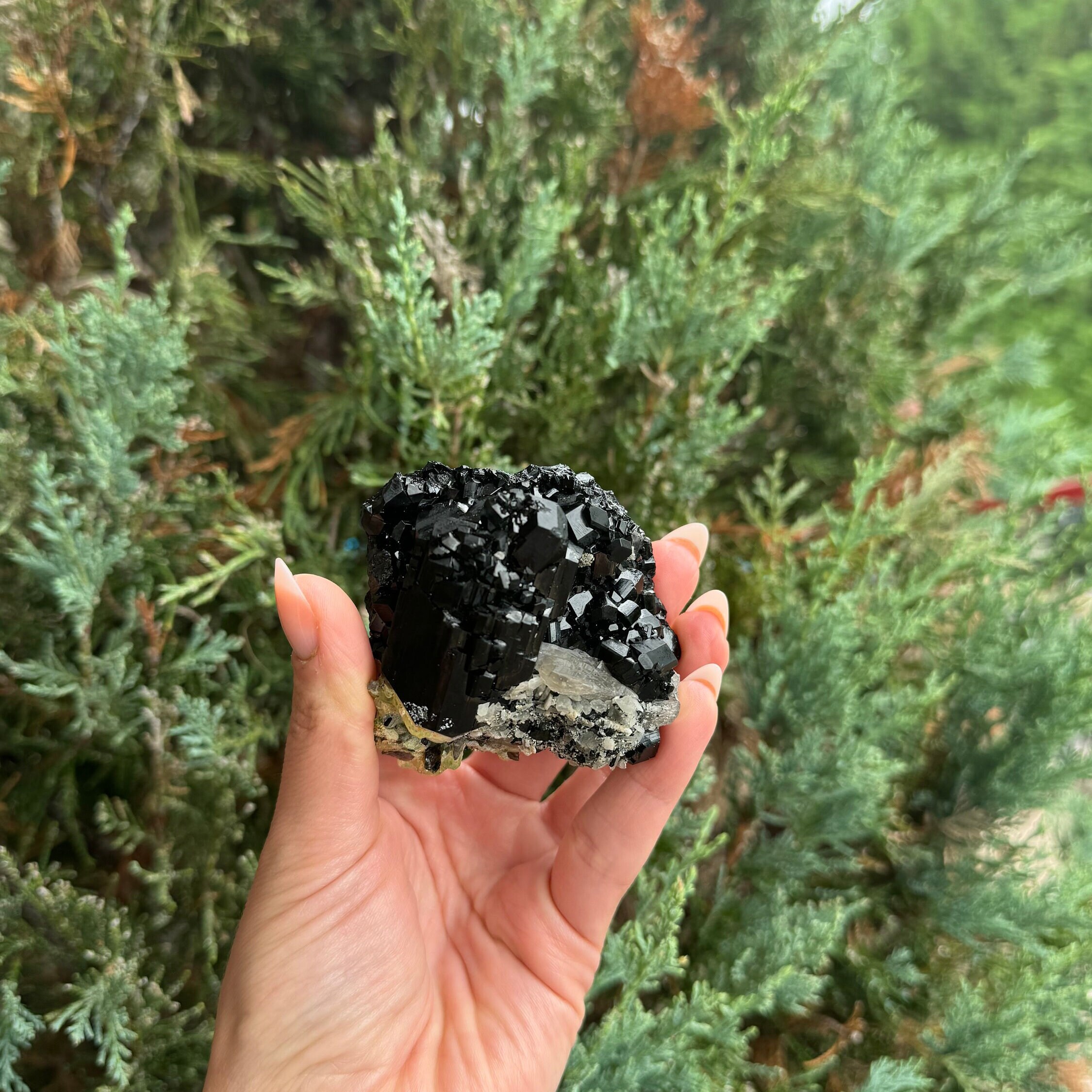 Black Tourmaline & Feldspar Specimen • Protective Grounding Crystal • Natural Mineral • Healing Stone • Collector Piece 7