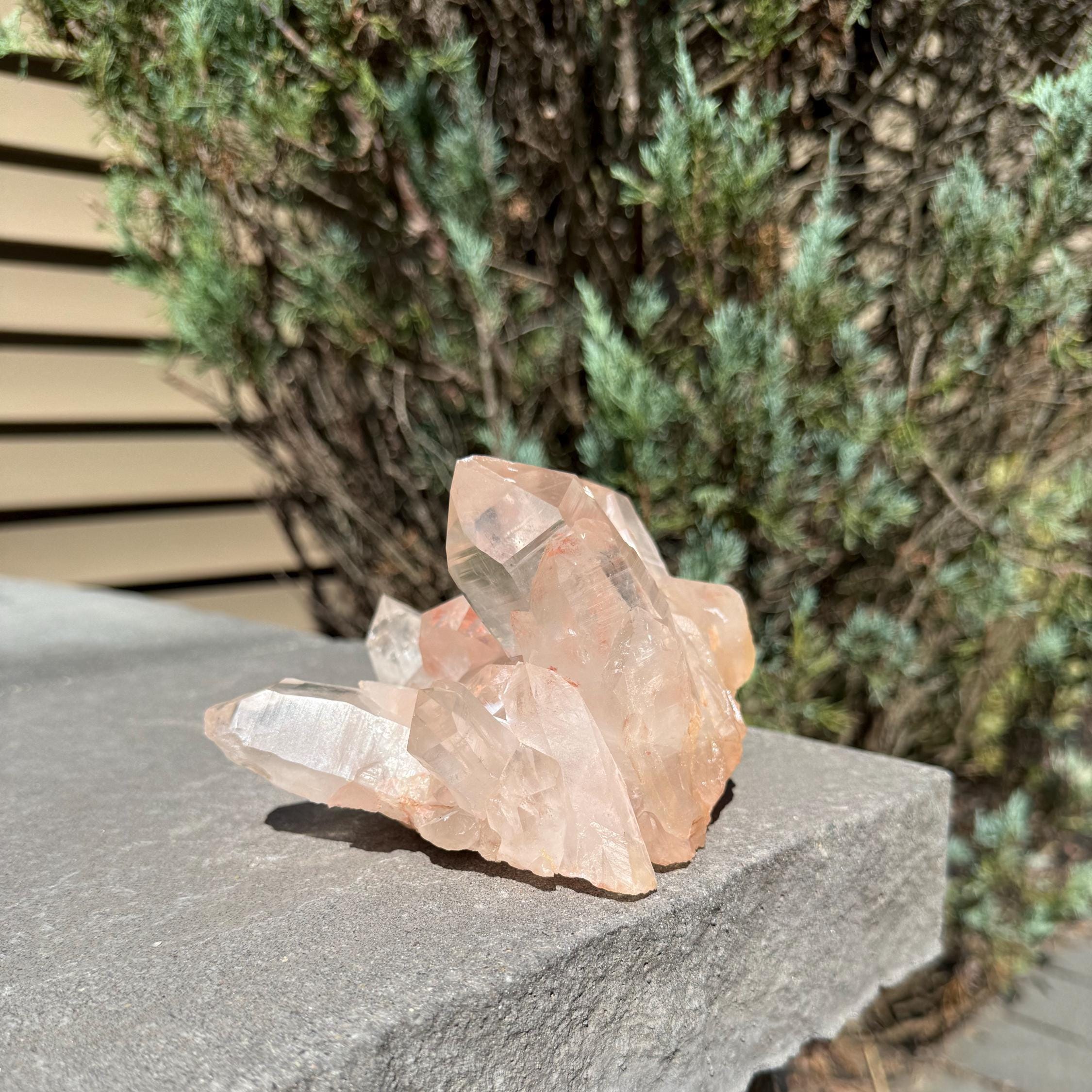 Large Hematite Included Quartz Crystal Cluster: Grounding & Energizing Natural Indian Specimen 9