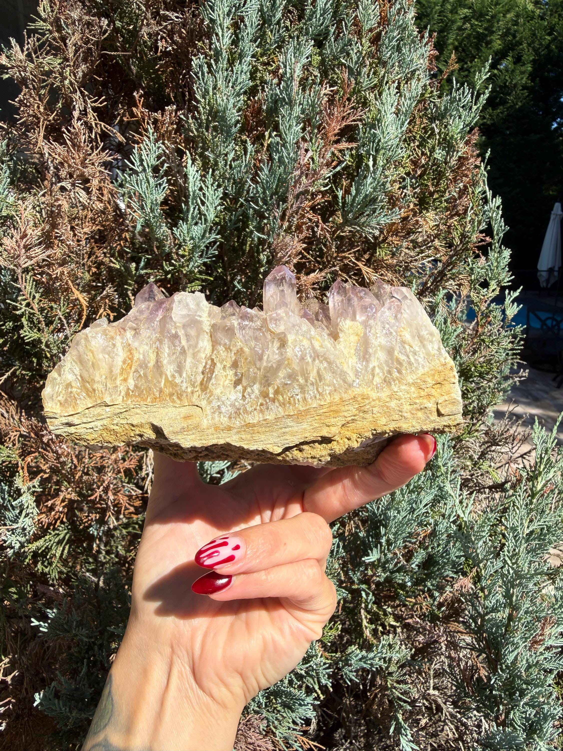 Large Guerrero Amethyst Freeform • Cut Base Crystal • Mexico • Purple Quartz Statement Stone • Healing Decor 6