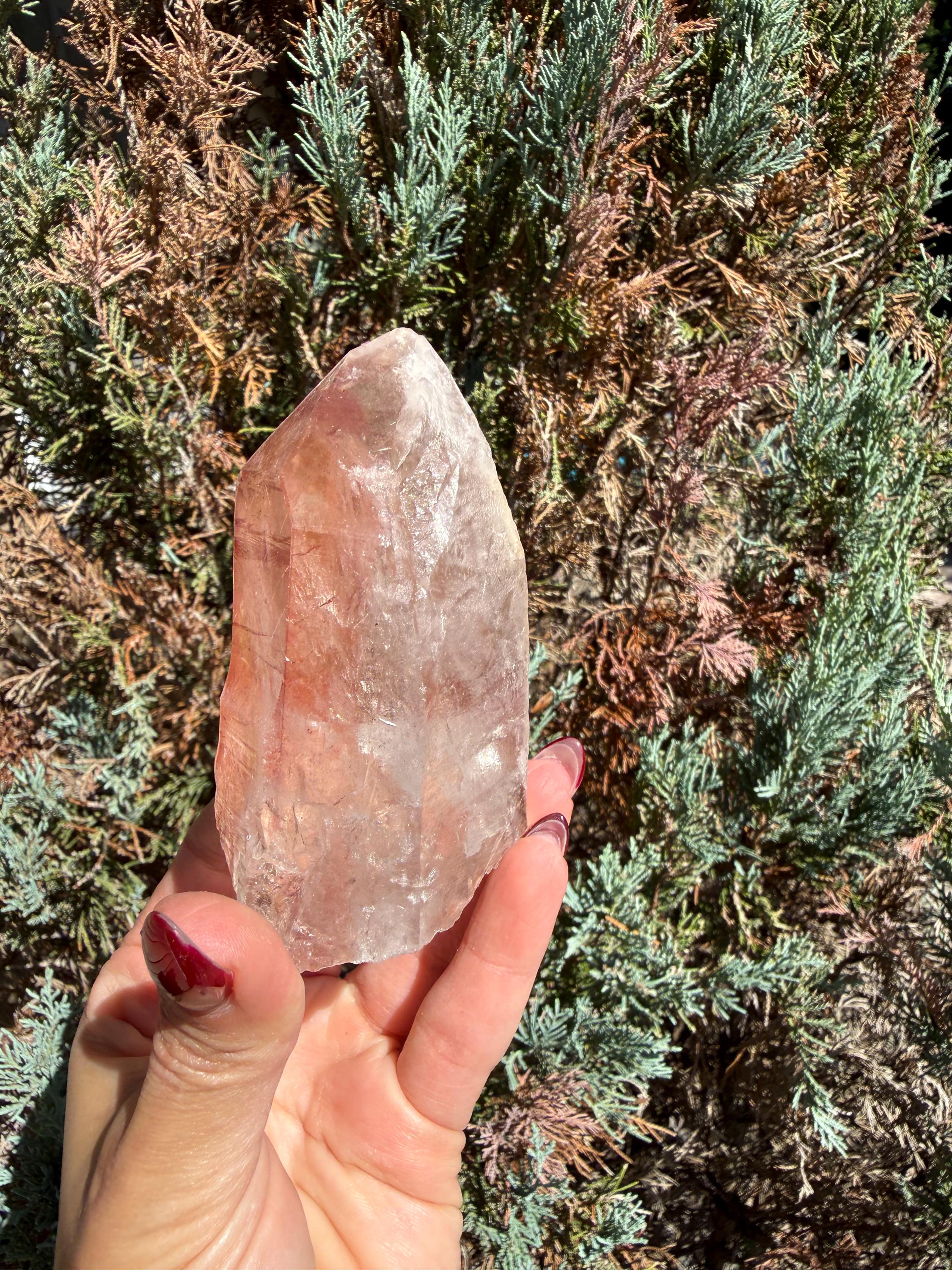 Pink Lithium Quartz Crystal Point on Stand • High Vibration Healing Stone • Spiritual Decor 12