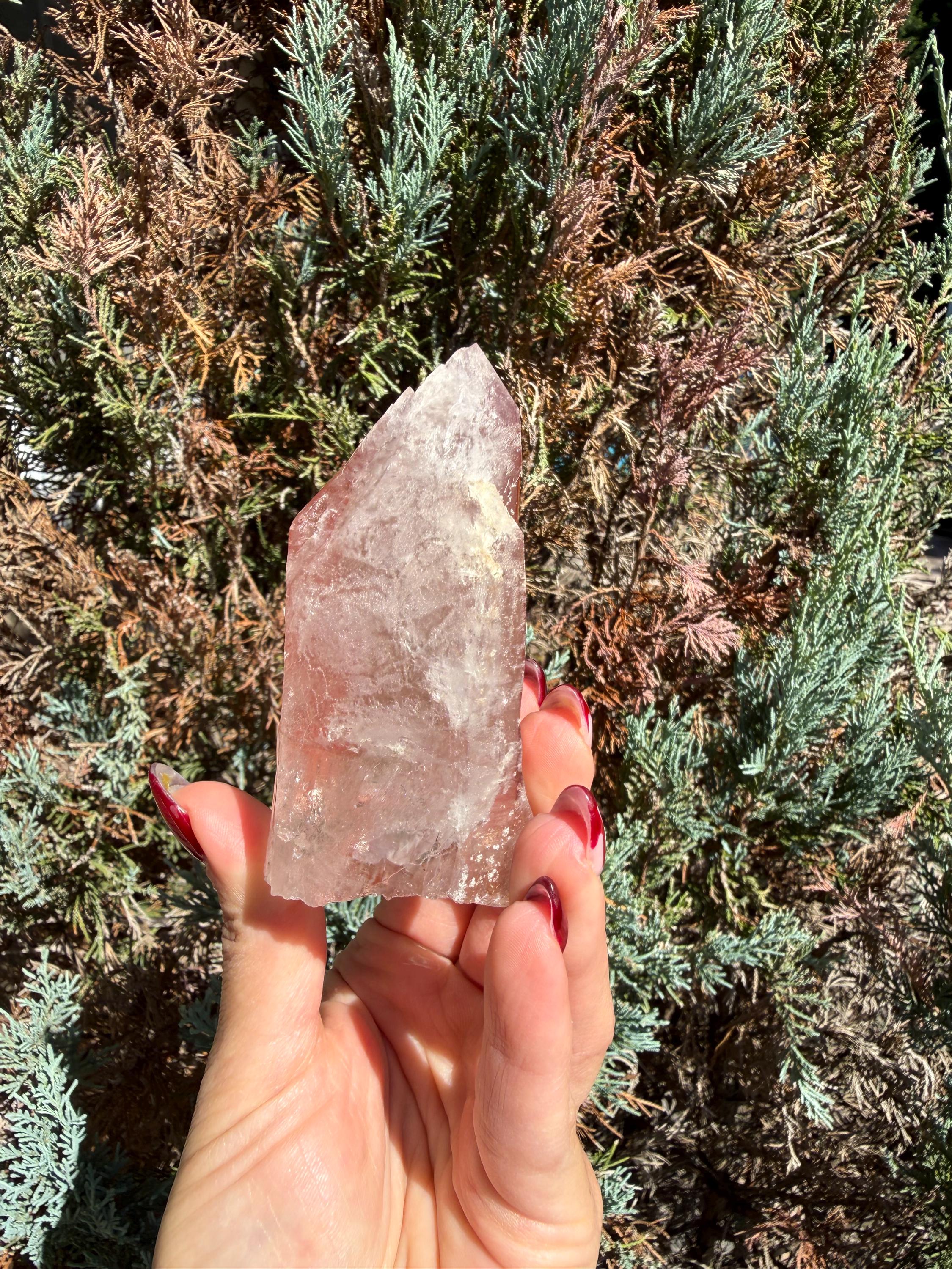 Pink Lithium Quartz Crystal Point on Stand • High Vibration Healing Stone • Spiritual Decor 11