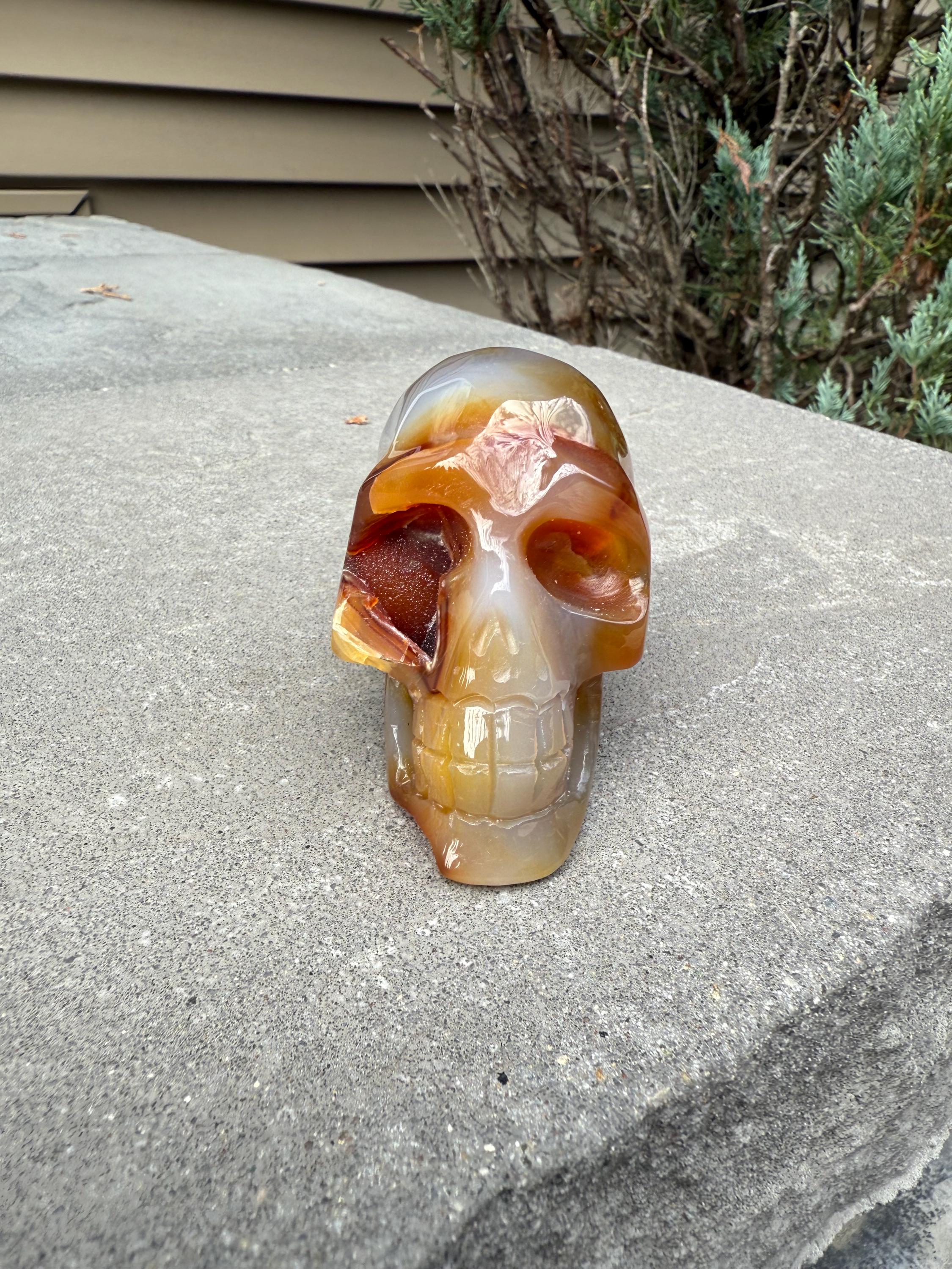 Druzy Carnelian Agate Crystal Skull, Hand Carved Stone, Natural Healing Decor