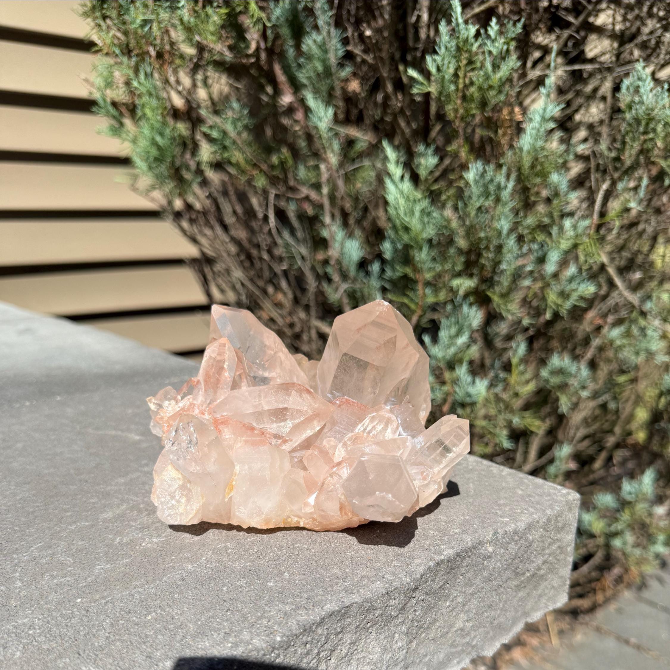 Large Hematite Included Quartz Crystal Cluster: Grounding & Energizing Natural Indian Specimen 8