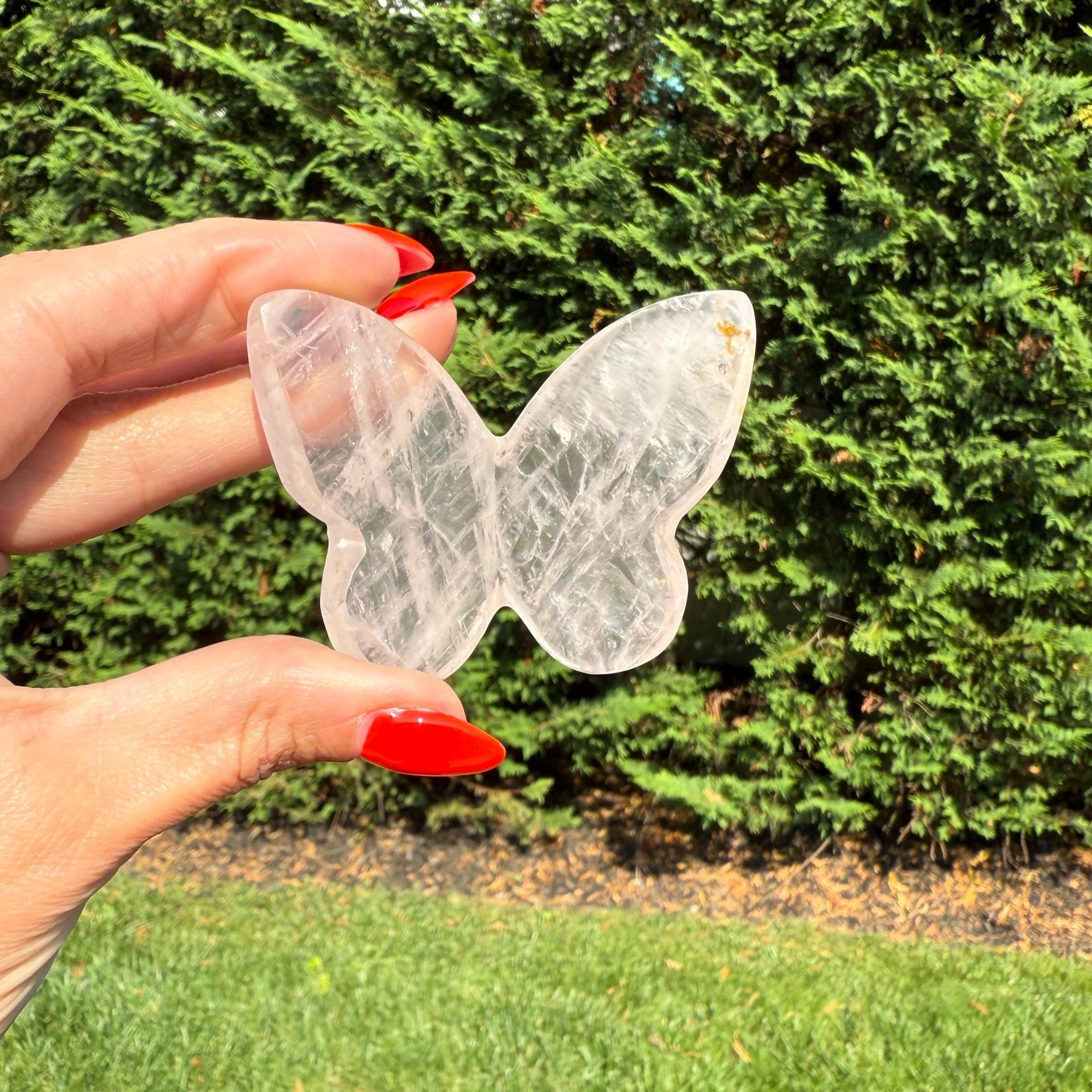 Rose Quartz Butterfly Carving • Golden Healer Crystal • Hand Carved Gemstone Decor
