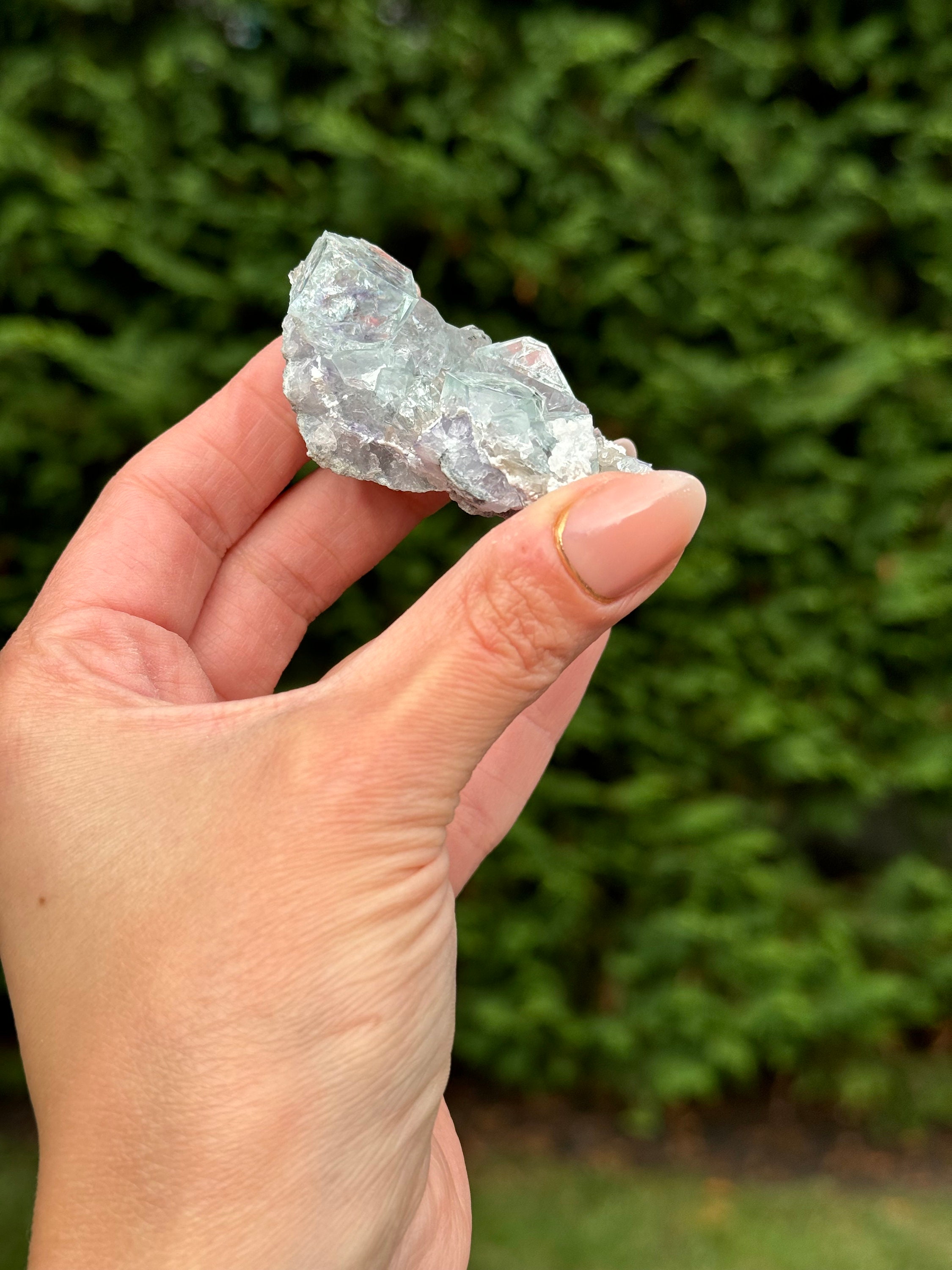 Blue Purple Fluorite Cubic Crystal Specimen • Natural Mineral Collector Stone 3