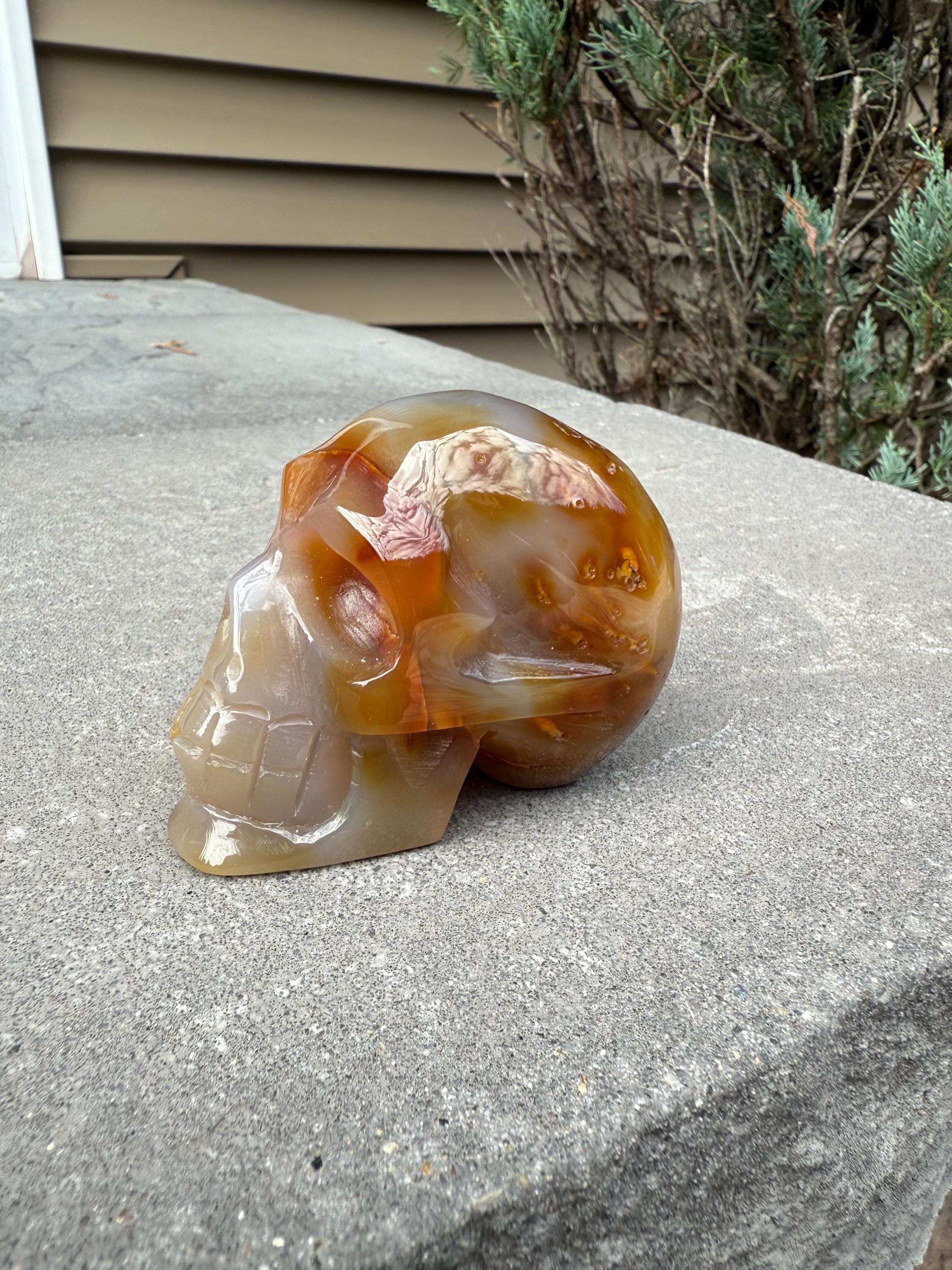 Druzy Carnelian Agate Crystal Skull, Hand Carved Stone, Natural Healing Decor 3