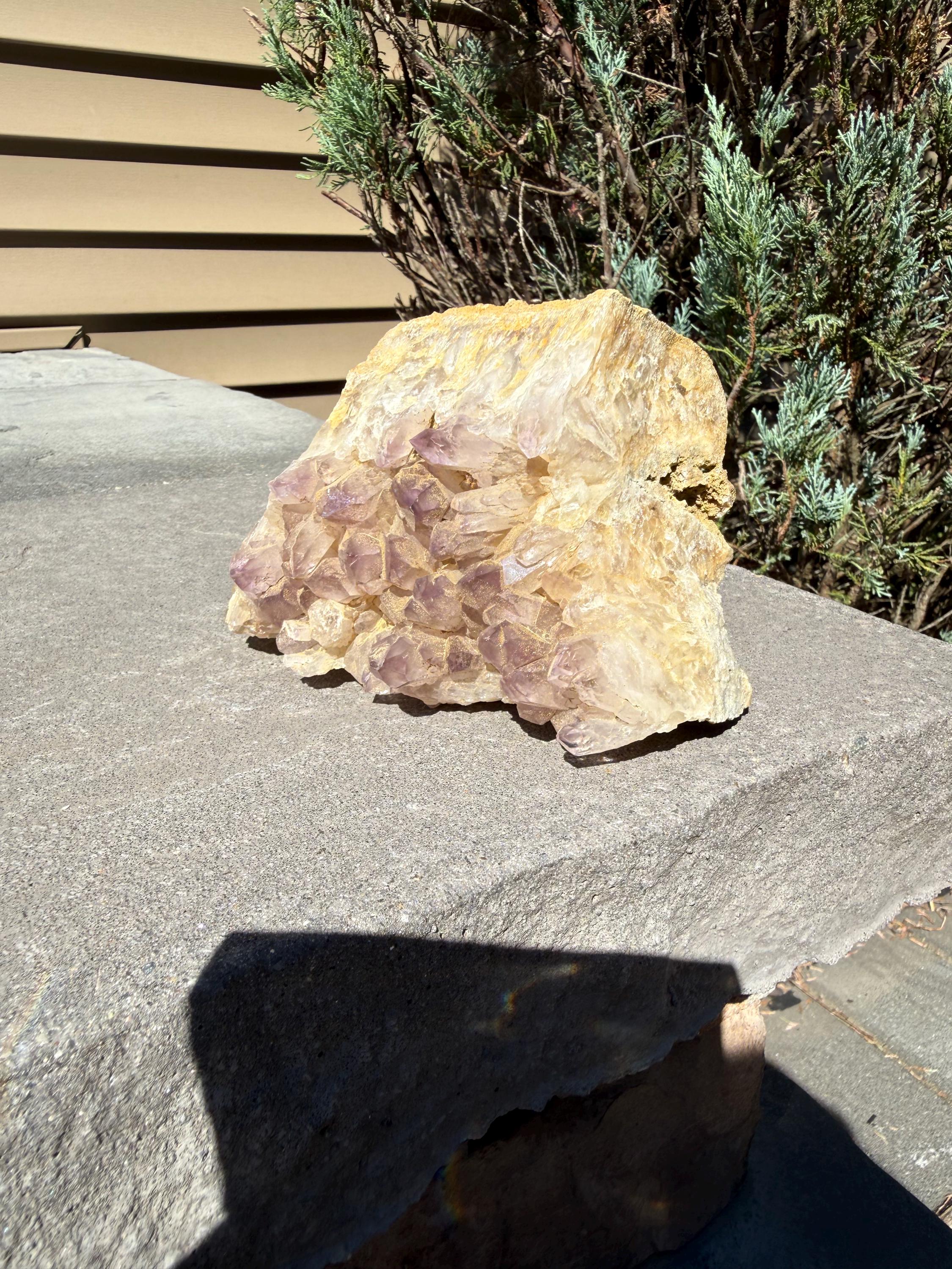 Large Guerrero Amethyst Freeform • Cut Base Crystal • Mexico • Purple Quartz Statement Stone • Healing Decor 8