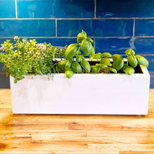 May include: A white rectangular planter box filled with fresh green herbs, including basil and thyme. The planter sits on a wooden surface against a backdrop of blue tiles. The herbs are vibrant and healthy, suggesting a kitchen garden.