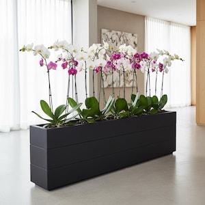 Plant Trough Box Bespoke Color & Size Solid Wood, Handmade in UK Wooden Planter Box