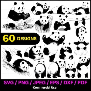 Paquete de diseños SVG de panda / Imágenes prediseñadas lindas / Archivos digitales para amantes del bambú / Archivos de corte para Cricut / Paquete de arte de sublimación PNG (PDF, JPEG, DXF, EPS)