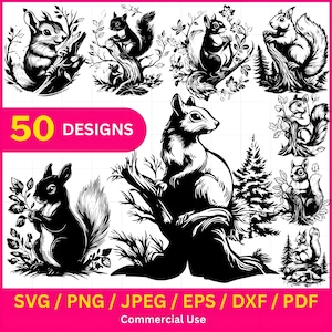 Bundle svg écureuil / écureuil des bois svg / svg animal des bois / animaux de la forêt silhouette svg / téléchargement immédiat / pdf, jpeg, dxf, eps