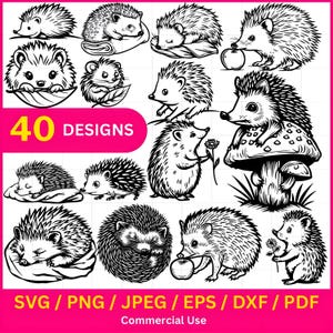 Cute Hedgehog SVG Bundle, Hedgehog Designs, Kawaii Animal Clipart, PNG Files for Cricut and Silhouette, Instant Download jpeg pdf eps dxf