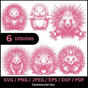 Stekelvarken SVG-bundel, schattige egel PNG, dierlijke vector clipart, bosdieren, Cricut en silhouet snijden bestanden pdf, jpeg, dxf, eps