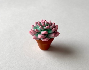 Pink and green ombre miniature polymer clay succulent figurine