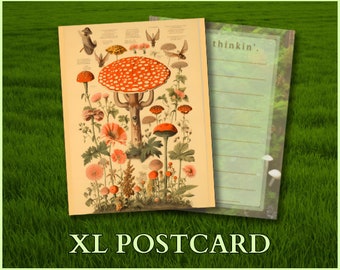 THE FORAGER | XL Postcard | Nature | Mushrooms | Cottagecore