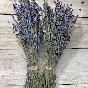 Dried Lavender Set of 4, Large Bunch Bouquets Bundles Tied with Jute Cord, Free Shipping, English, French, grosso, Weddings, Photo Staging